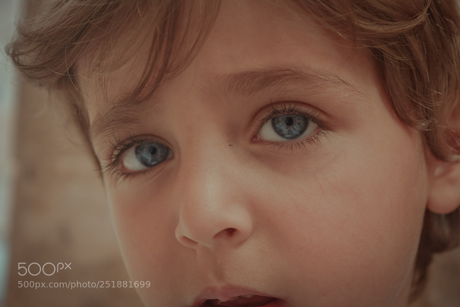 Nikon D5200 sample photo. Blue eyes photography