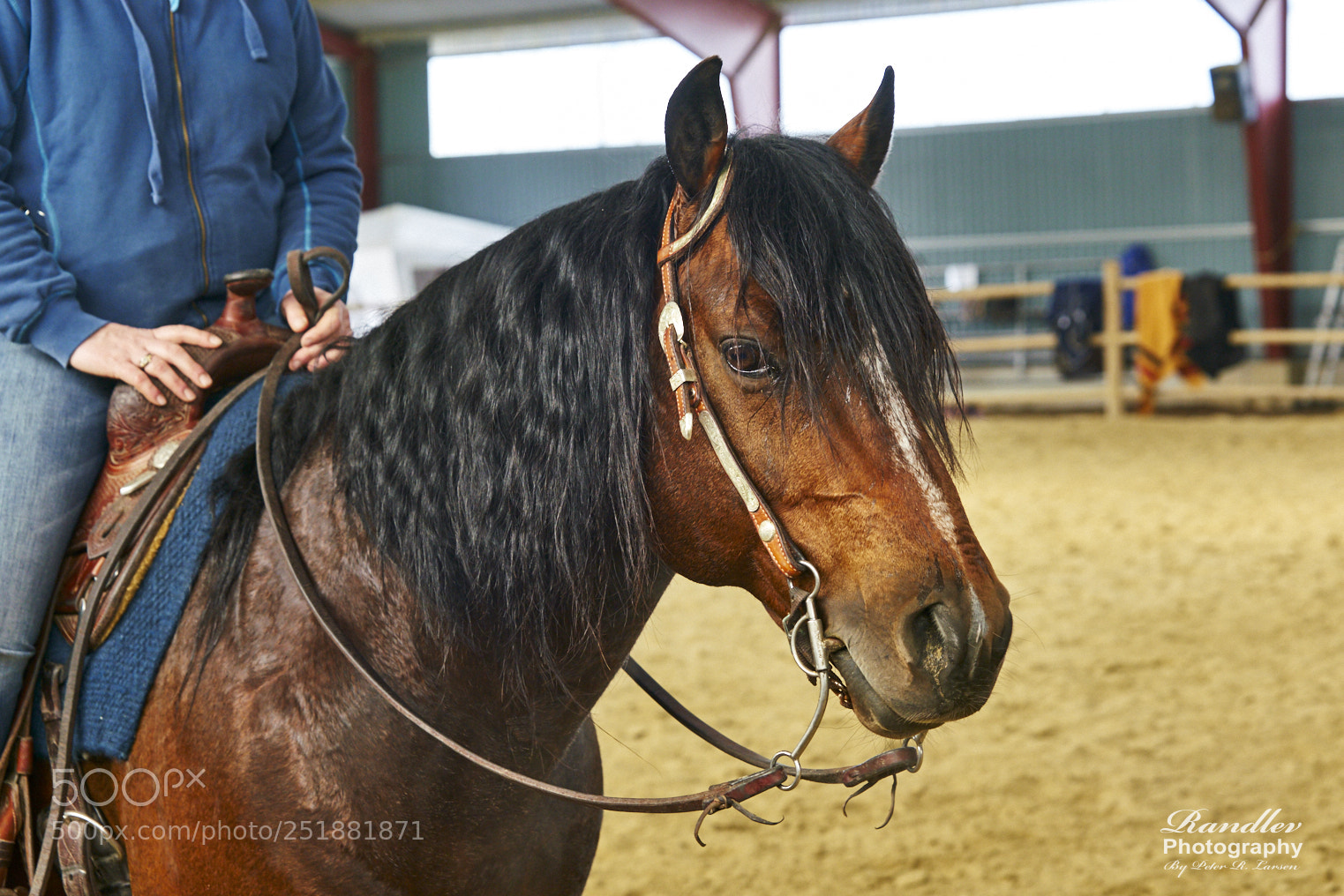 Sony a99 II sample photo. Jnt pÅske show 2018 photography