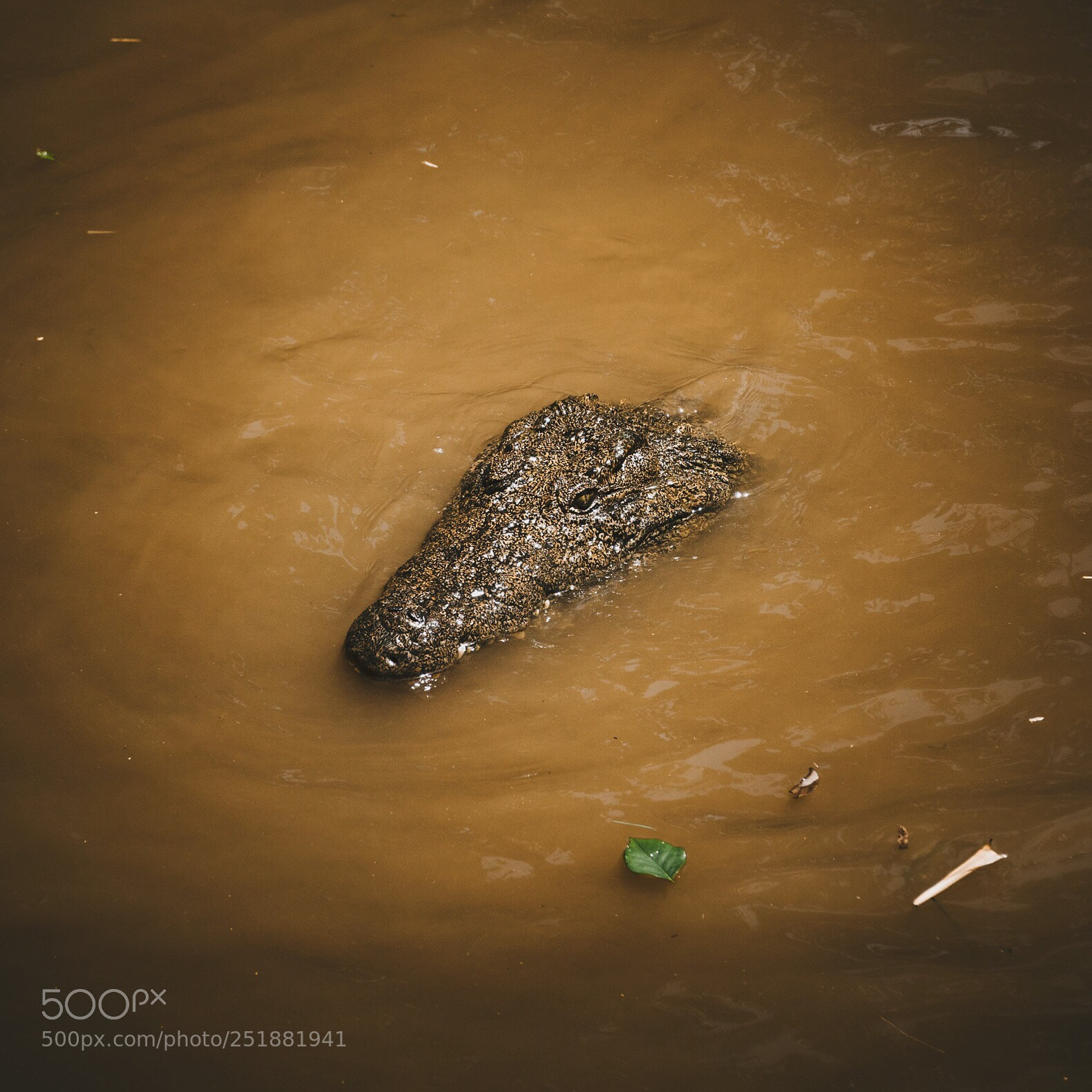 Sony a6300 sample photo. Beware of the still photography