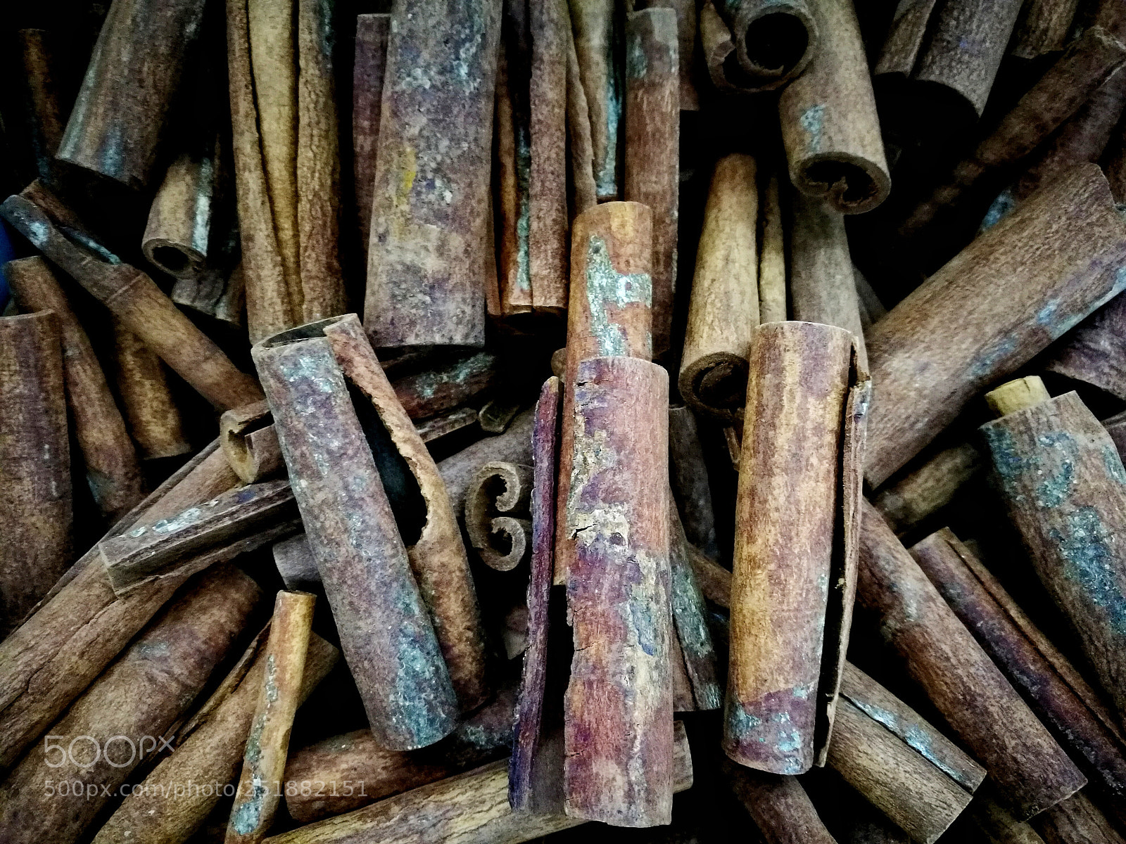 HUAWEI P9 Plus sample photo. Cinnamon photography