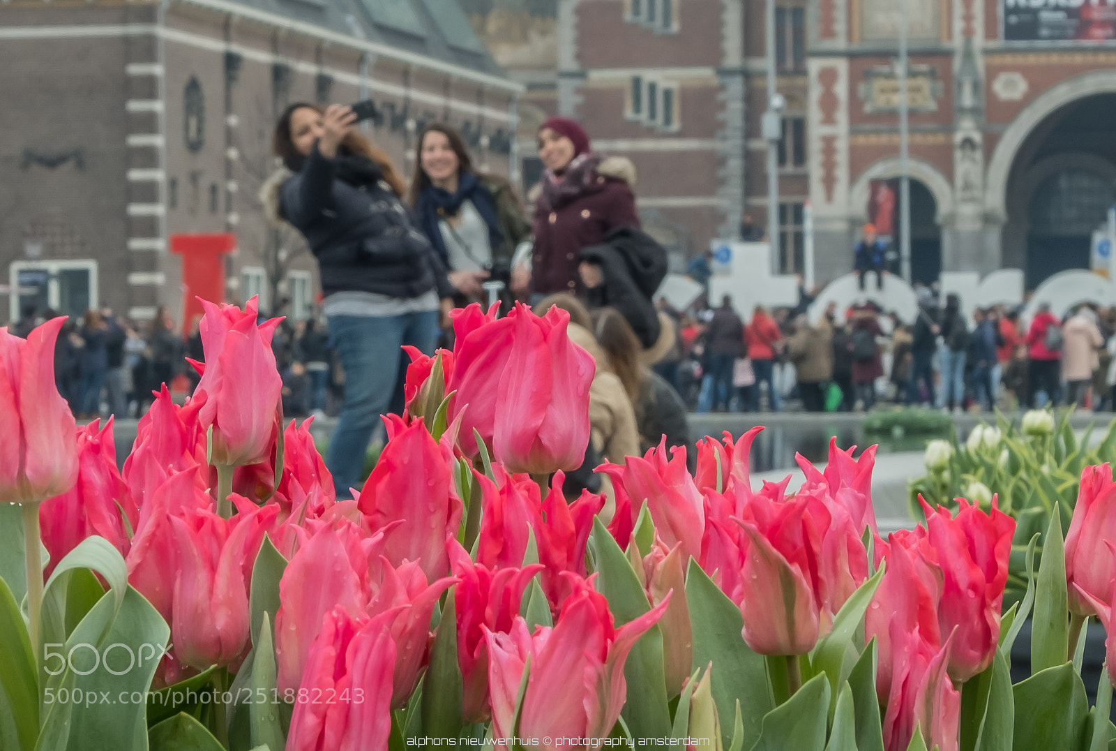 Fujifilm X-T2 sample photo. Tulip festival amsterdam photography