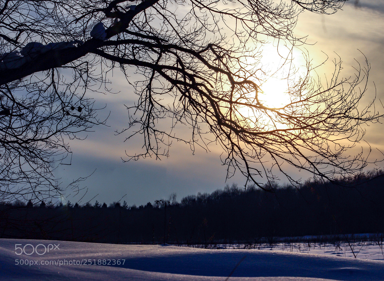 Canon EOS 600D (Rebel EOS T3i / EOS Kiss X5) sample photo. Winter sunset photography