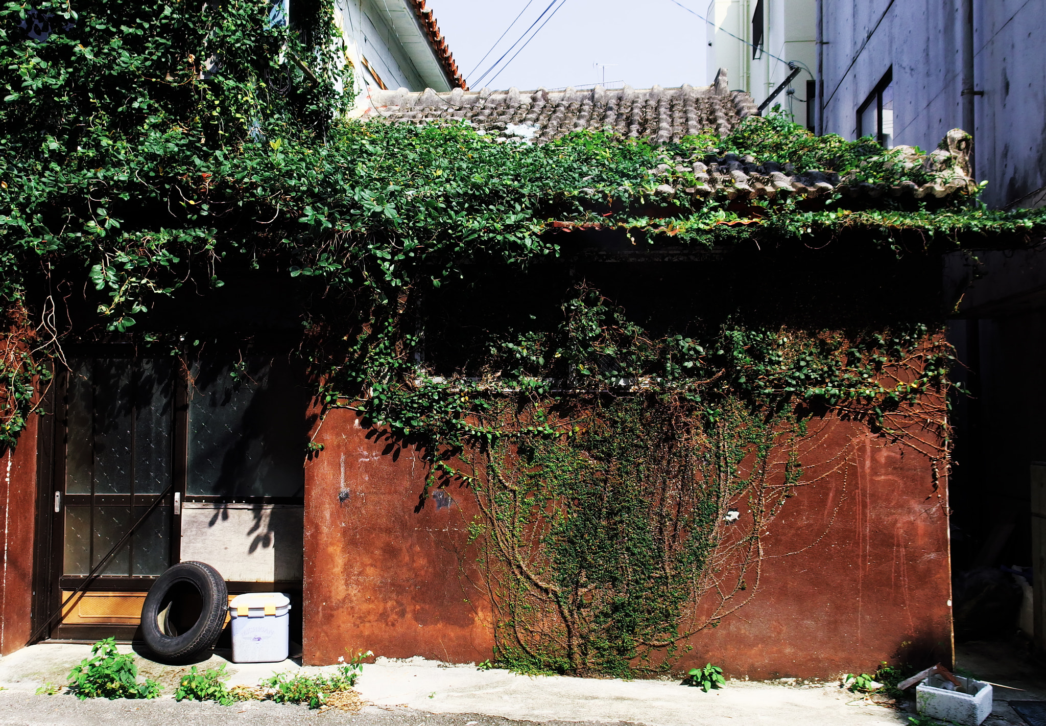 PENTAX RICOH IMAGING PENTAX MX-1 sample photo. Okinawa photography