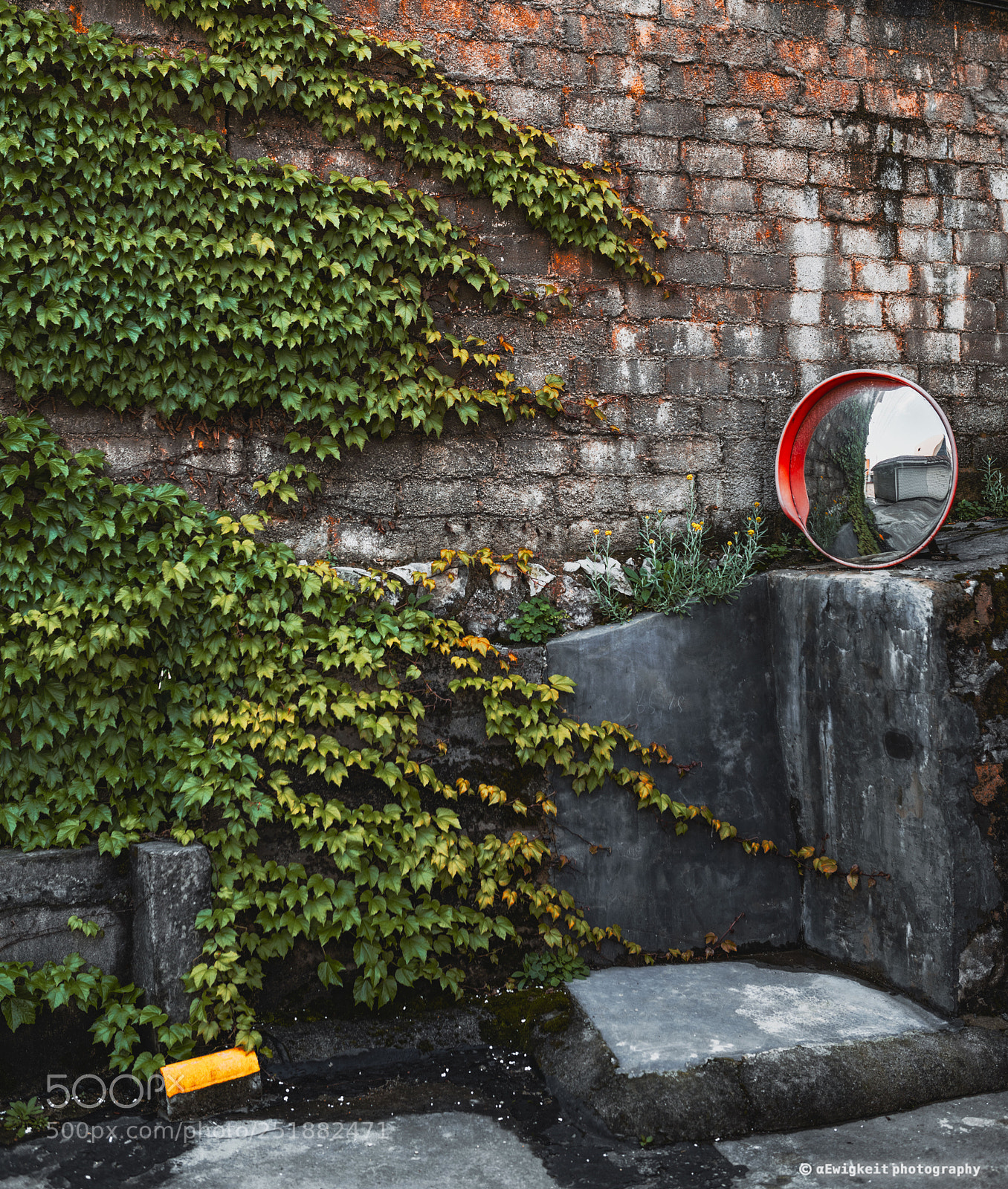 Nikon D850 sample photo. A corner photography