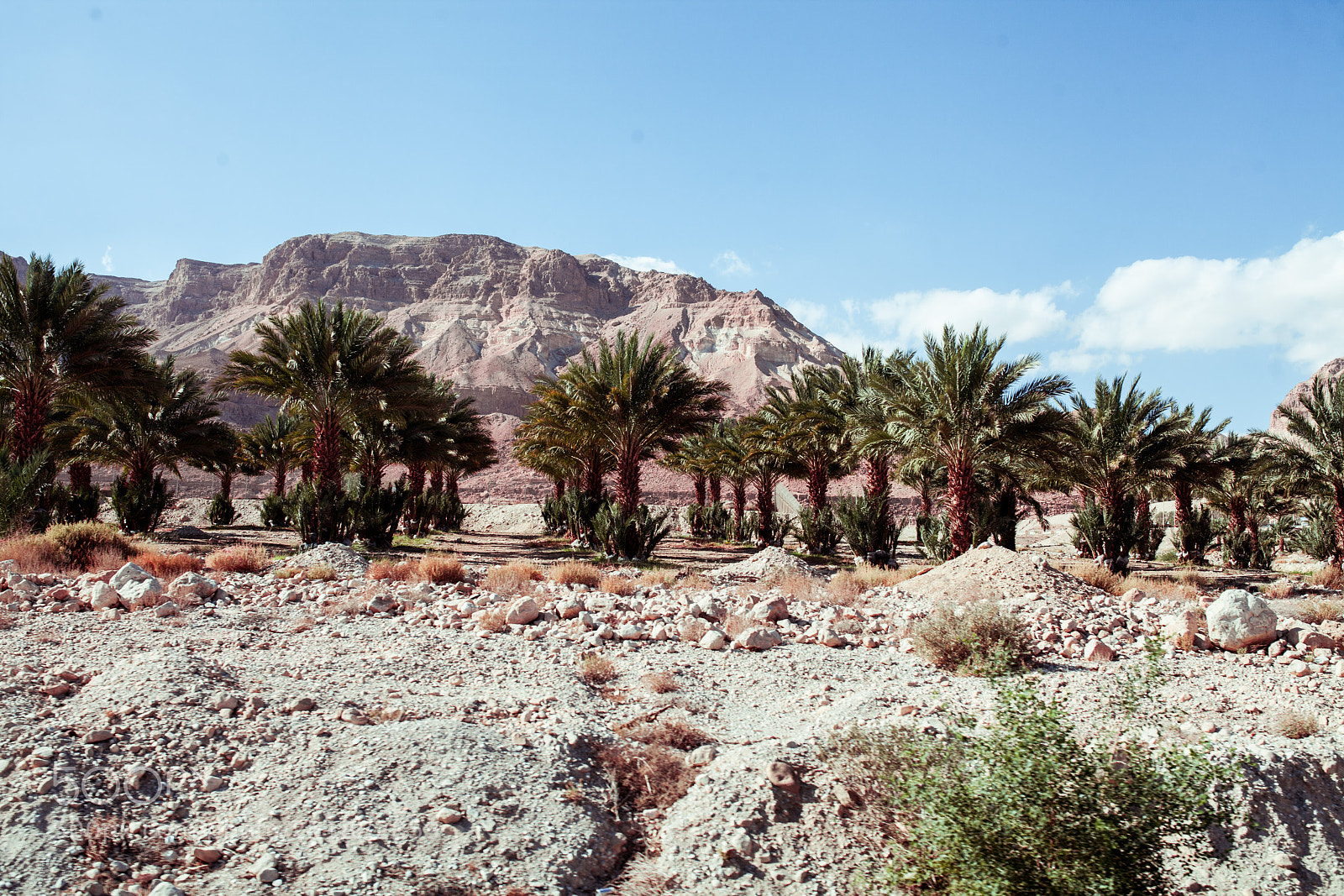 Canon EOS 5D Mark II sample photo. Dead sea mansri photography