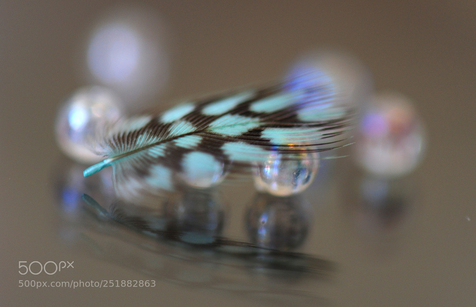 Nikon D700 sample photo. Feather fantasy photography