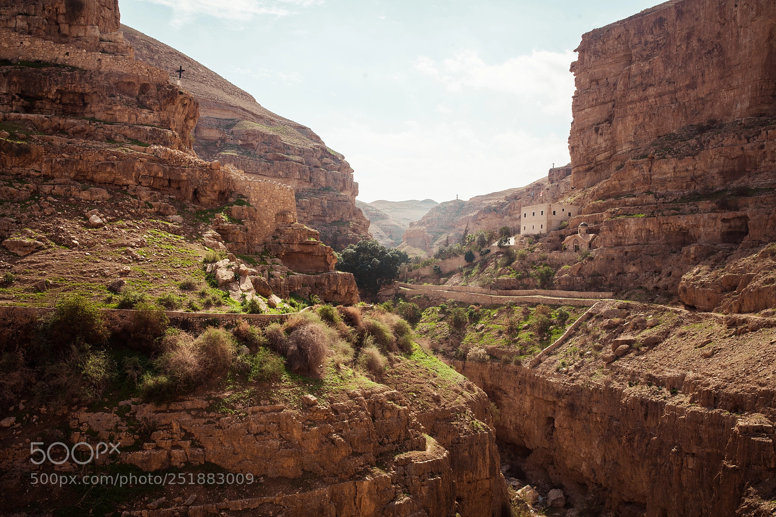 Canon EOS 5D Mark II sample photo. Jericho wadiqelt mansri photography