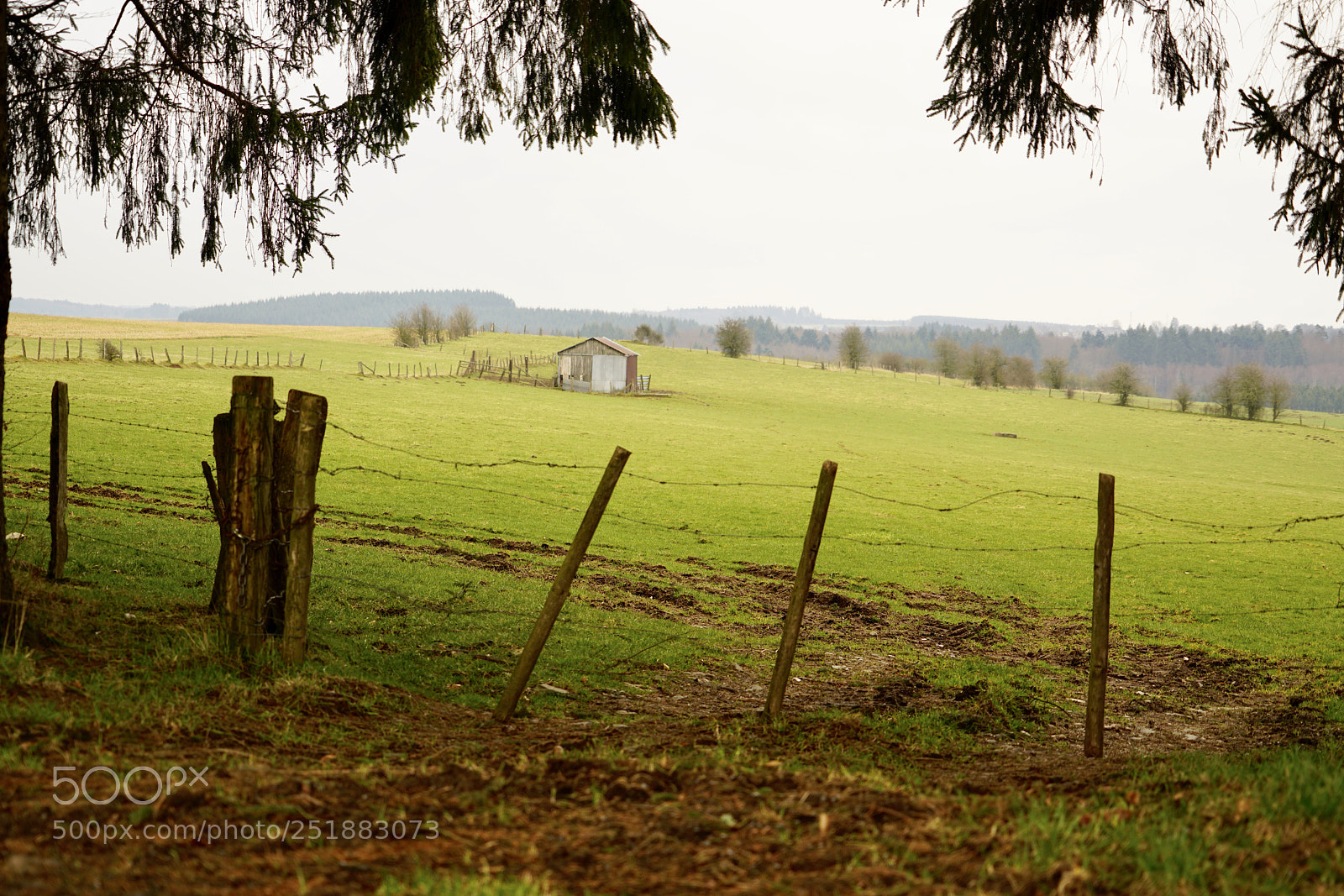 Sony a7R II sample photo. Just before spring photography