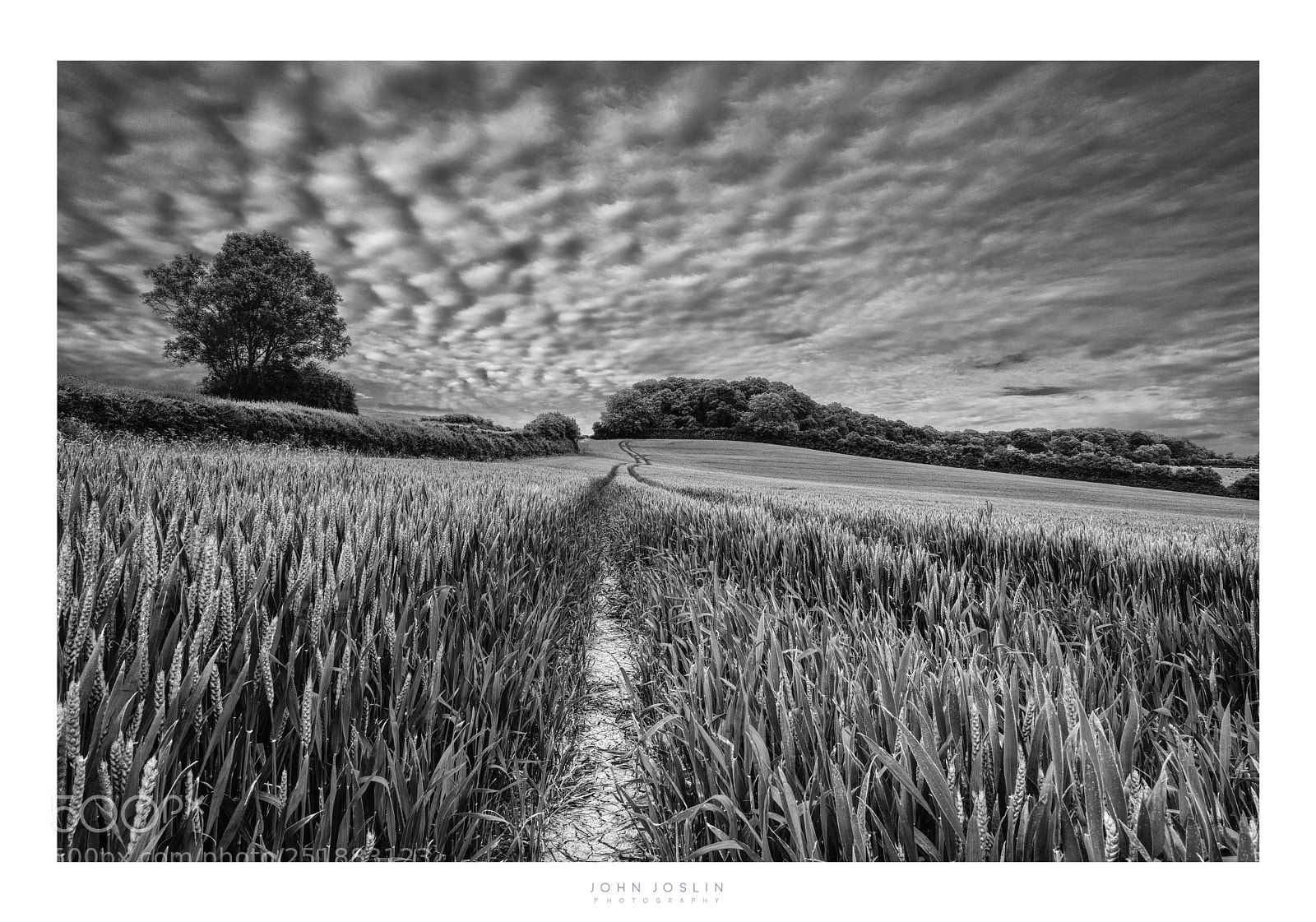 Sony a7R sample photo. Rain will come photography