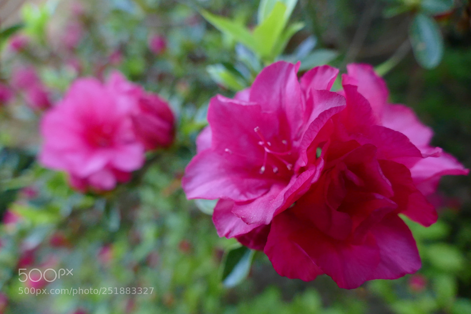 Panasonic Lumix DMC-FZ1000 sample photo. Sublime photography