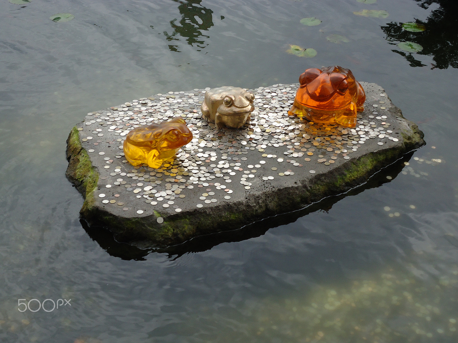 Sony Cyber-shot DSC-W530 sample photo. Three frogs on a rock photography