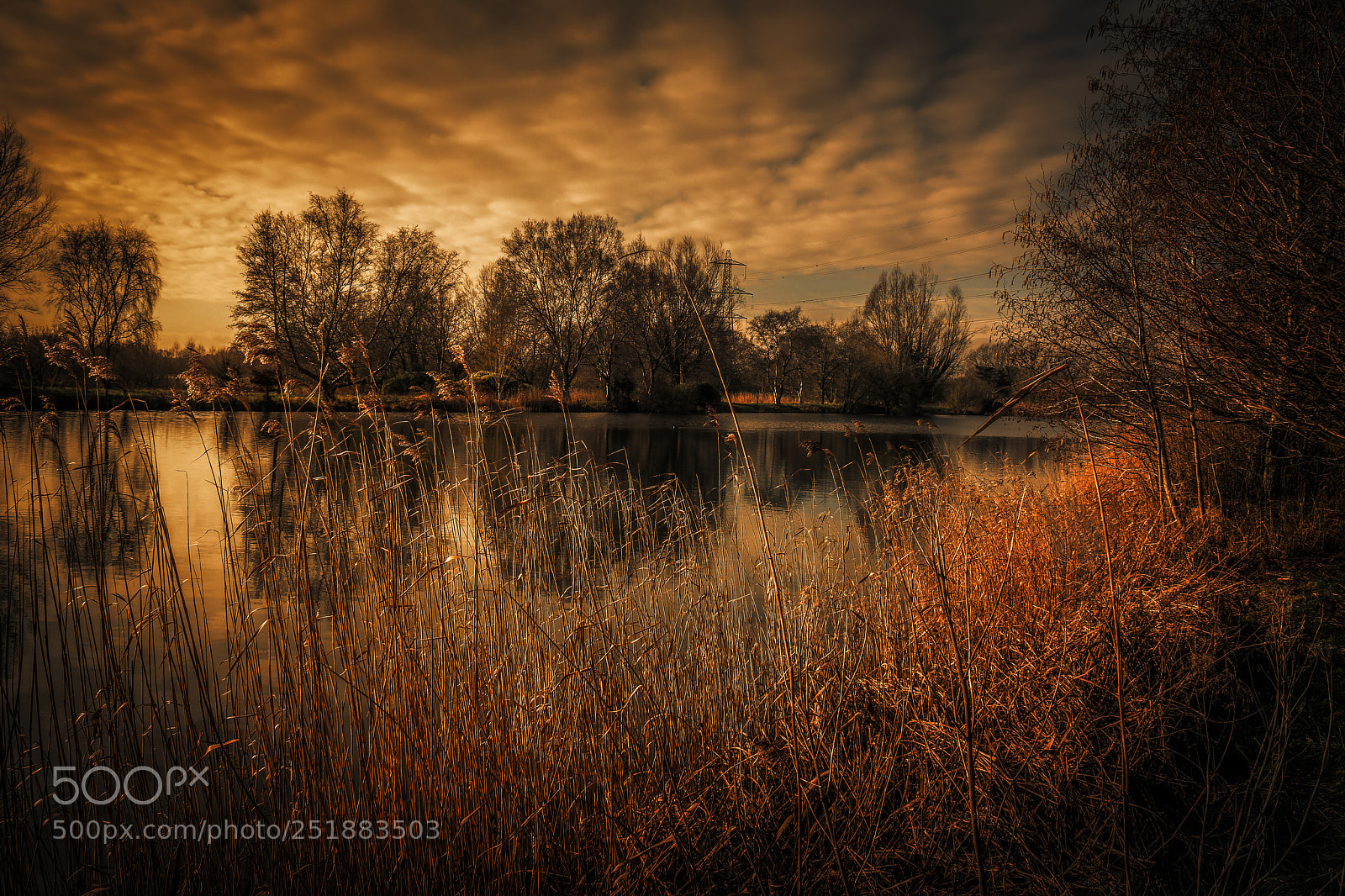 Nikon D500 sample photo. Pallington lake photography
