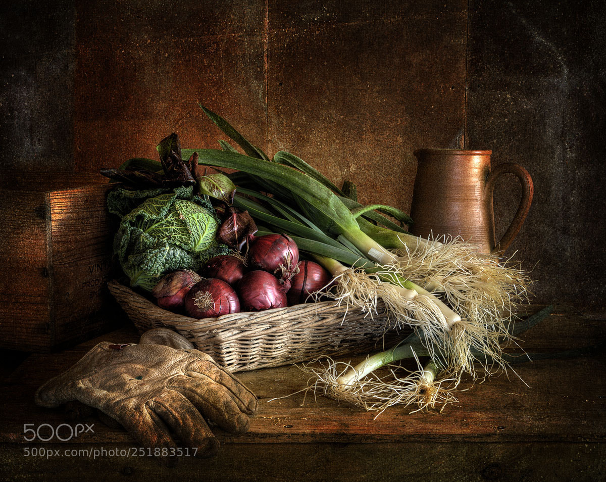Canon EOS 5D Mark II sample photo. Still life : leeks & onions photography