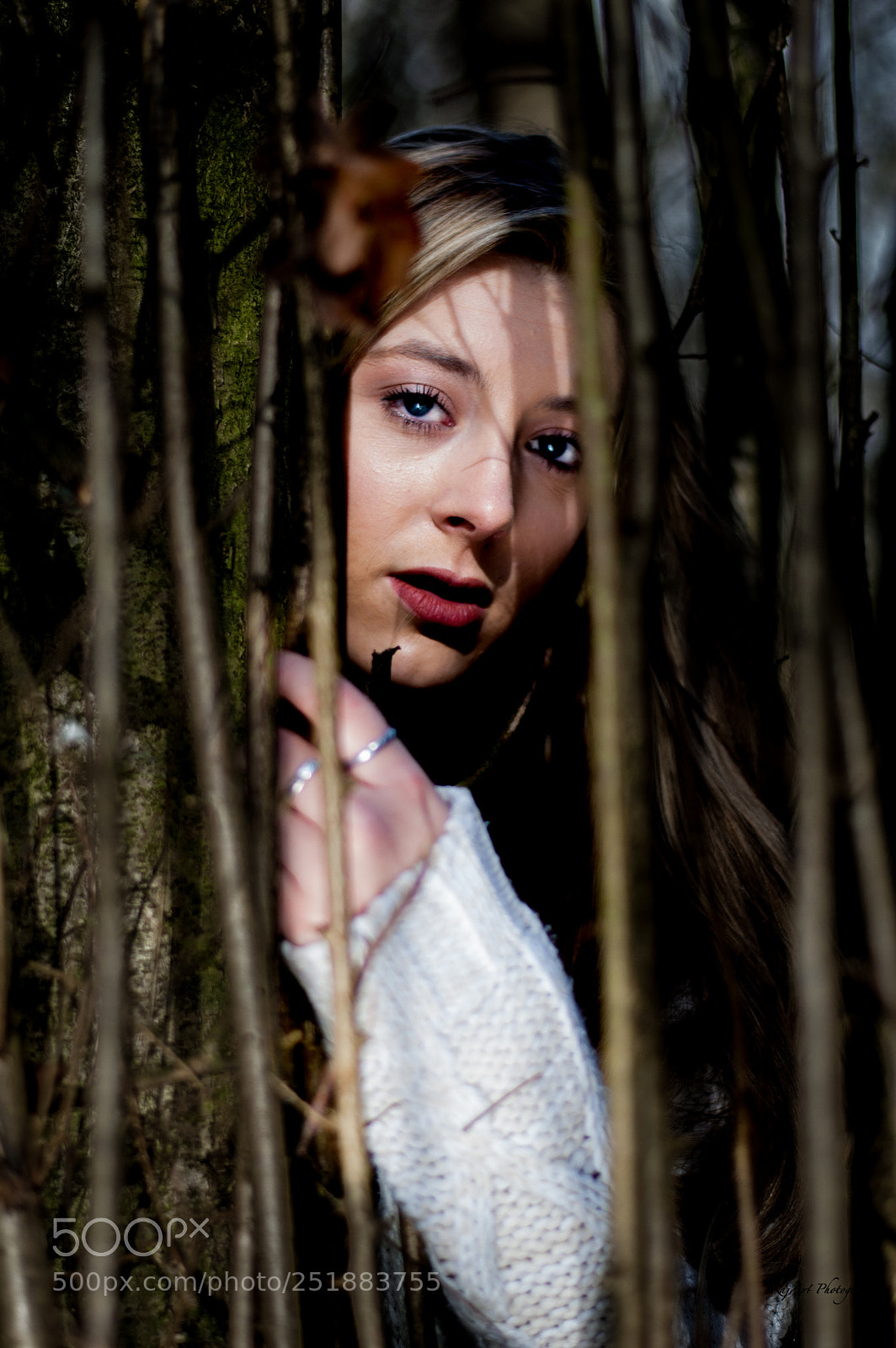 Nikon D40 sample photo. Colour photography