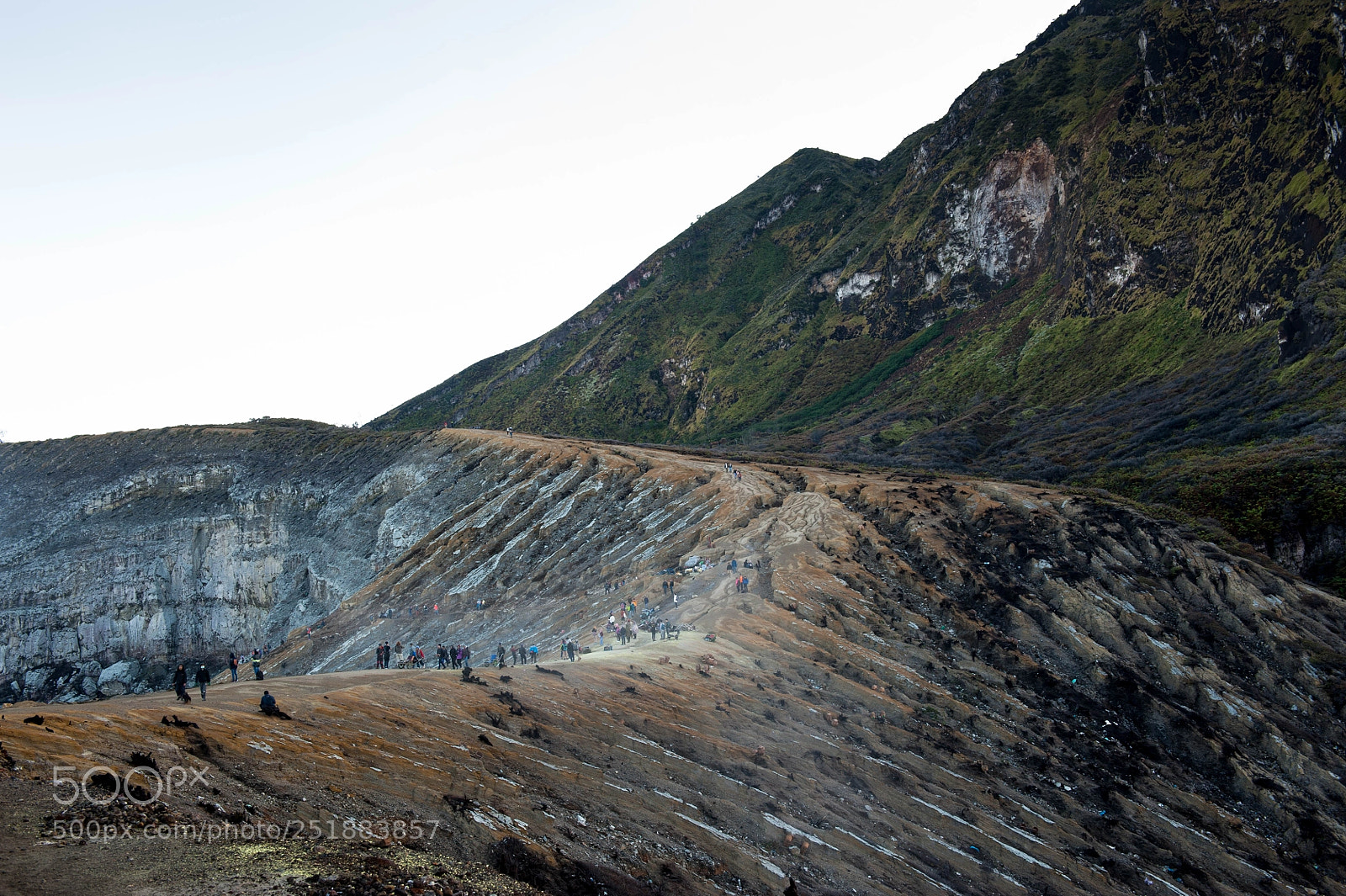 Nikon D700 sample photo. Living on the edge photography