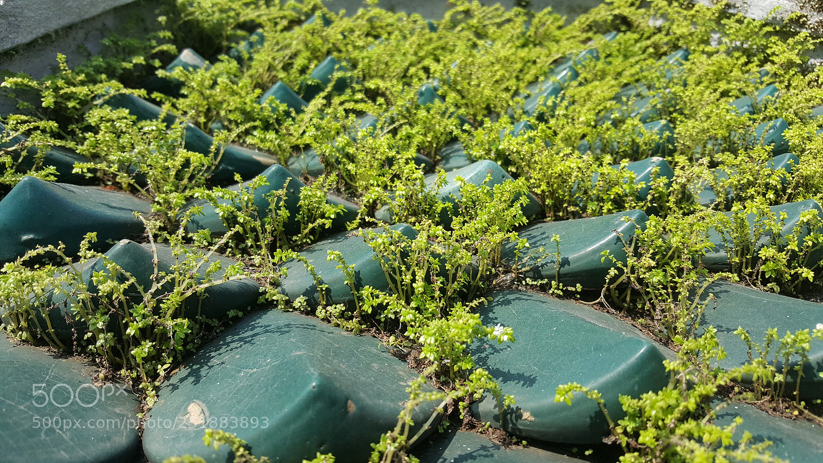 Samsung Galaxy Note5 sample photo. 20180318_095146.jpg photography