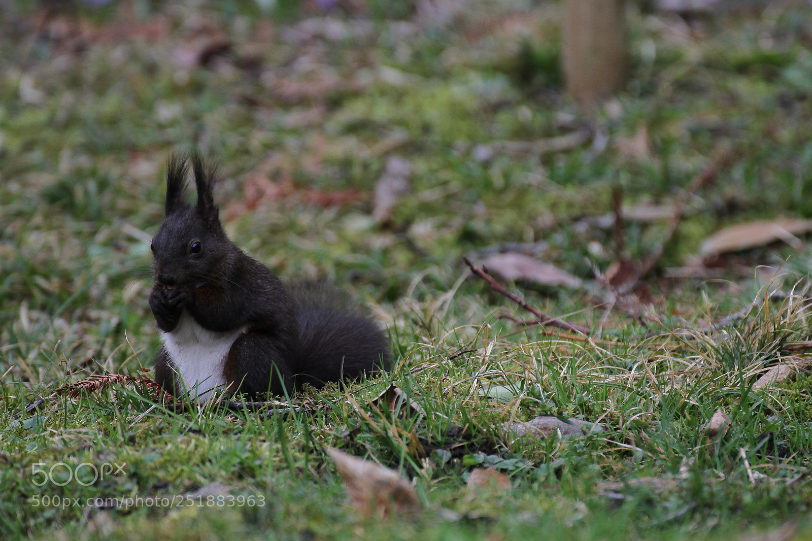Canon EOS 7D sample photo. Untitled photography