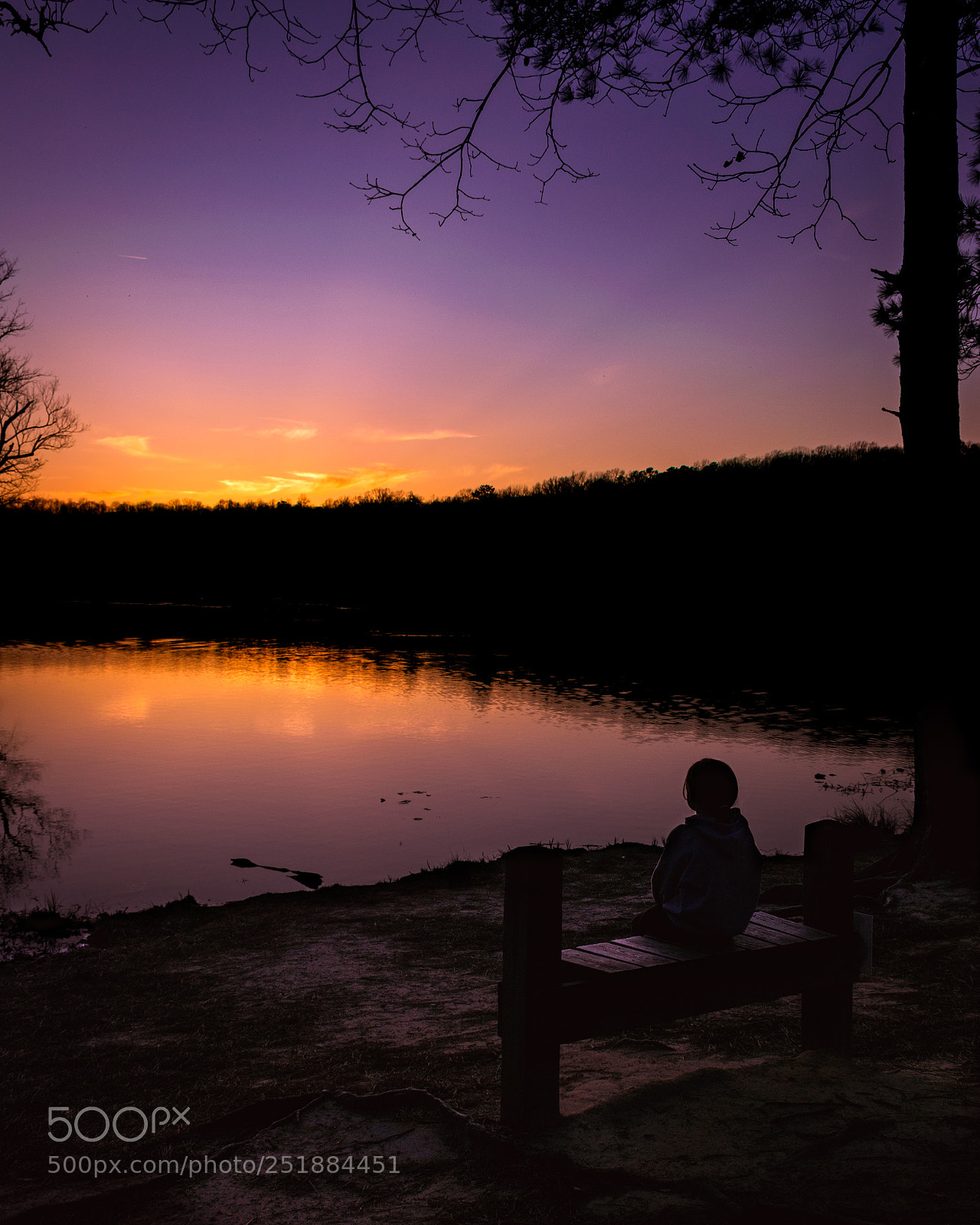 Nikon D5300 sample photo. Beaver lake sunset photography