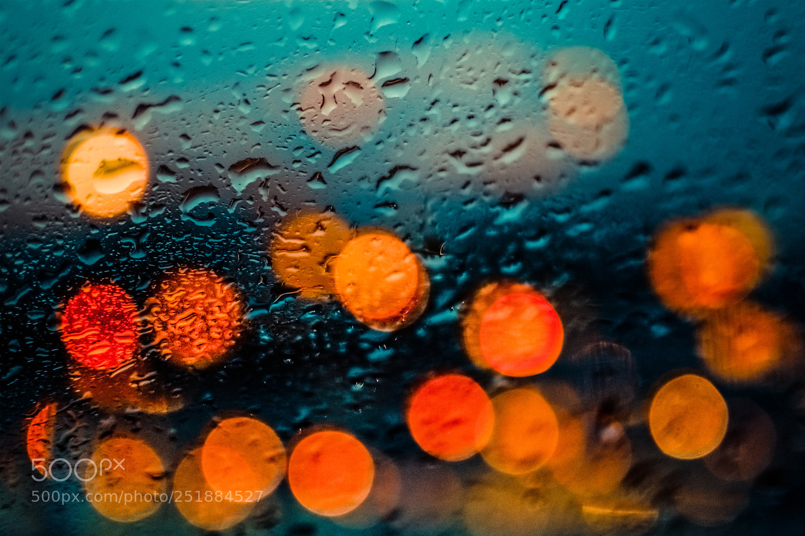 Nikon D5300 sample photo. Rainy day photography