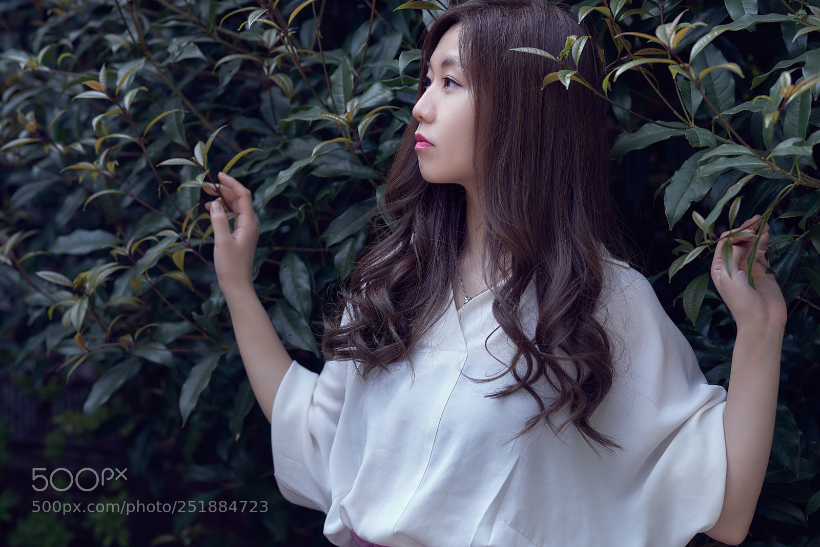 Sony a7R II sample photo. Leaves photography