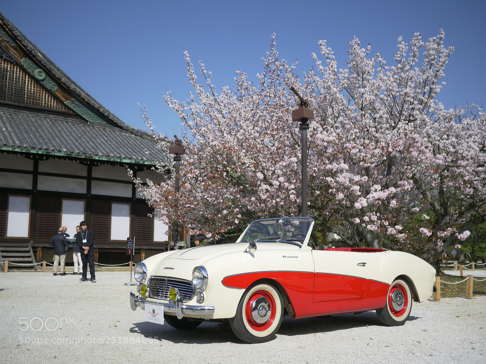 Panasonic Lumix DC-GH5 sample photo. Spring in the castle #02 photography