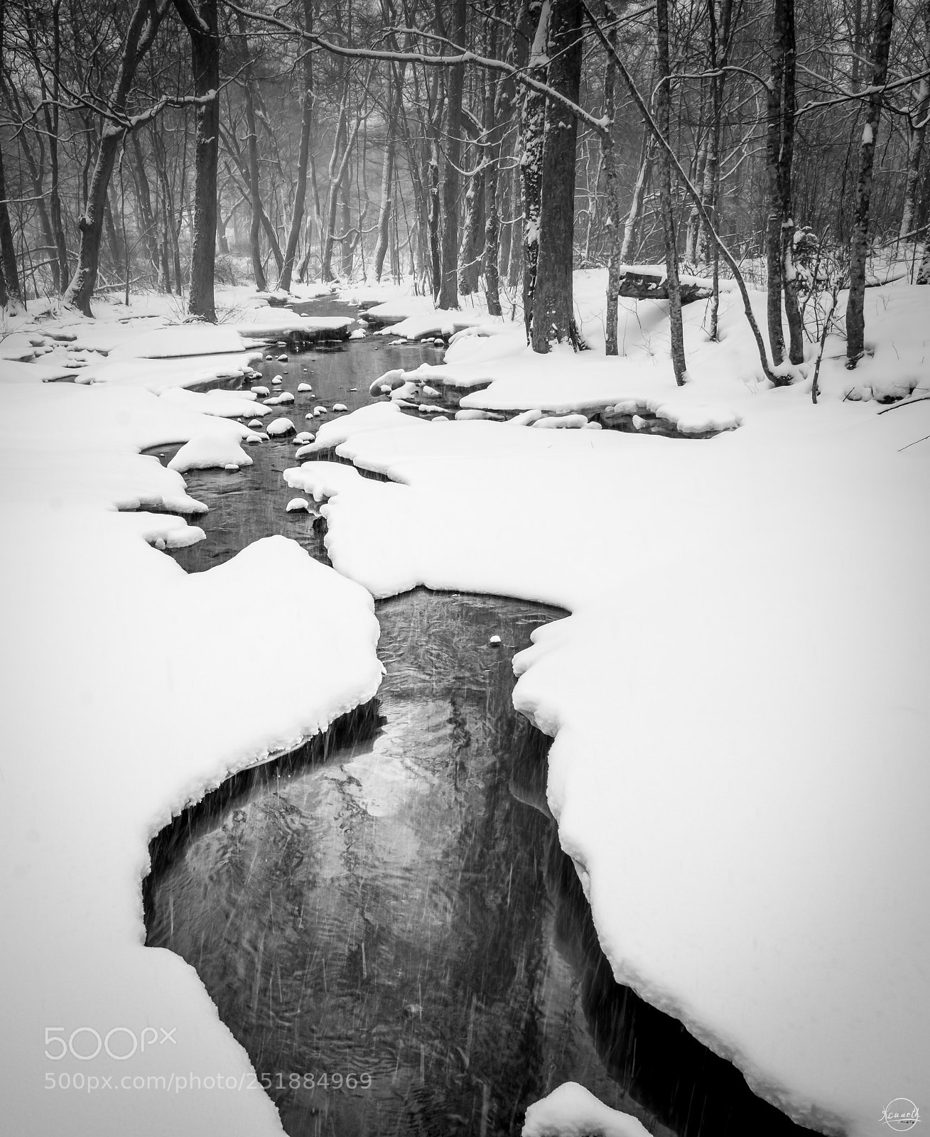 Nikon D7200 sample photo. April snow photography