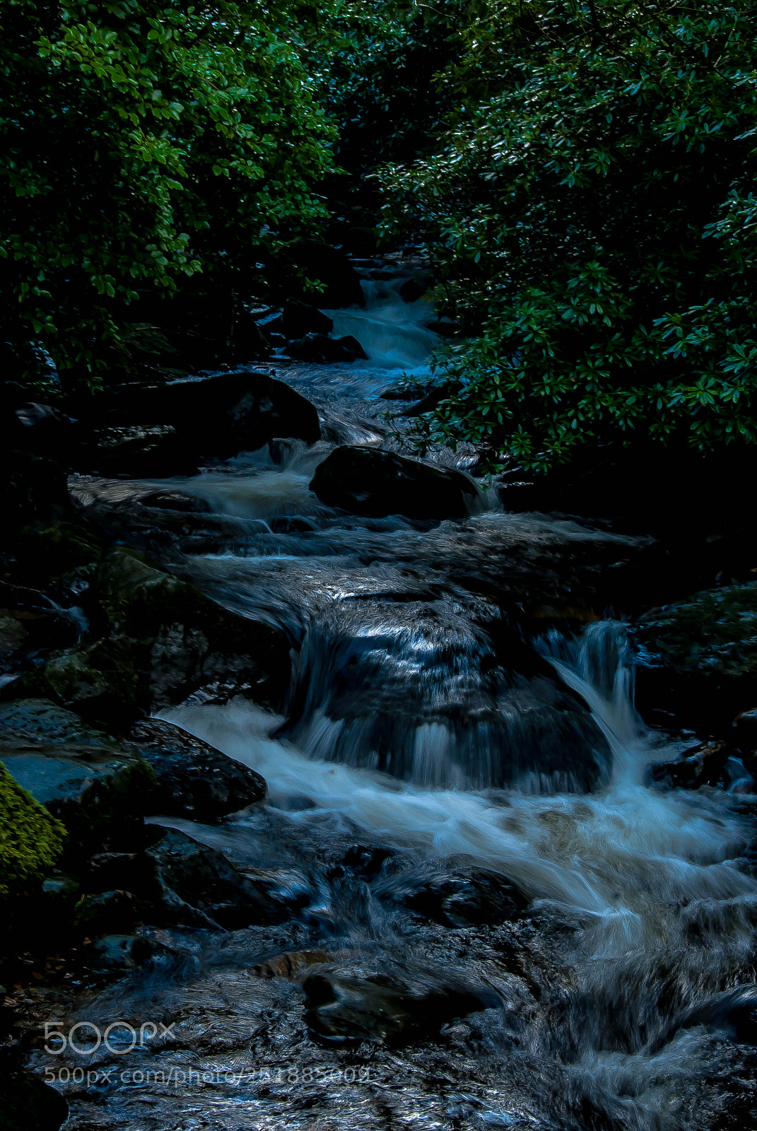Nikon D60 sample photo. Even flow photography
