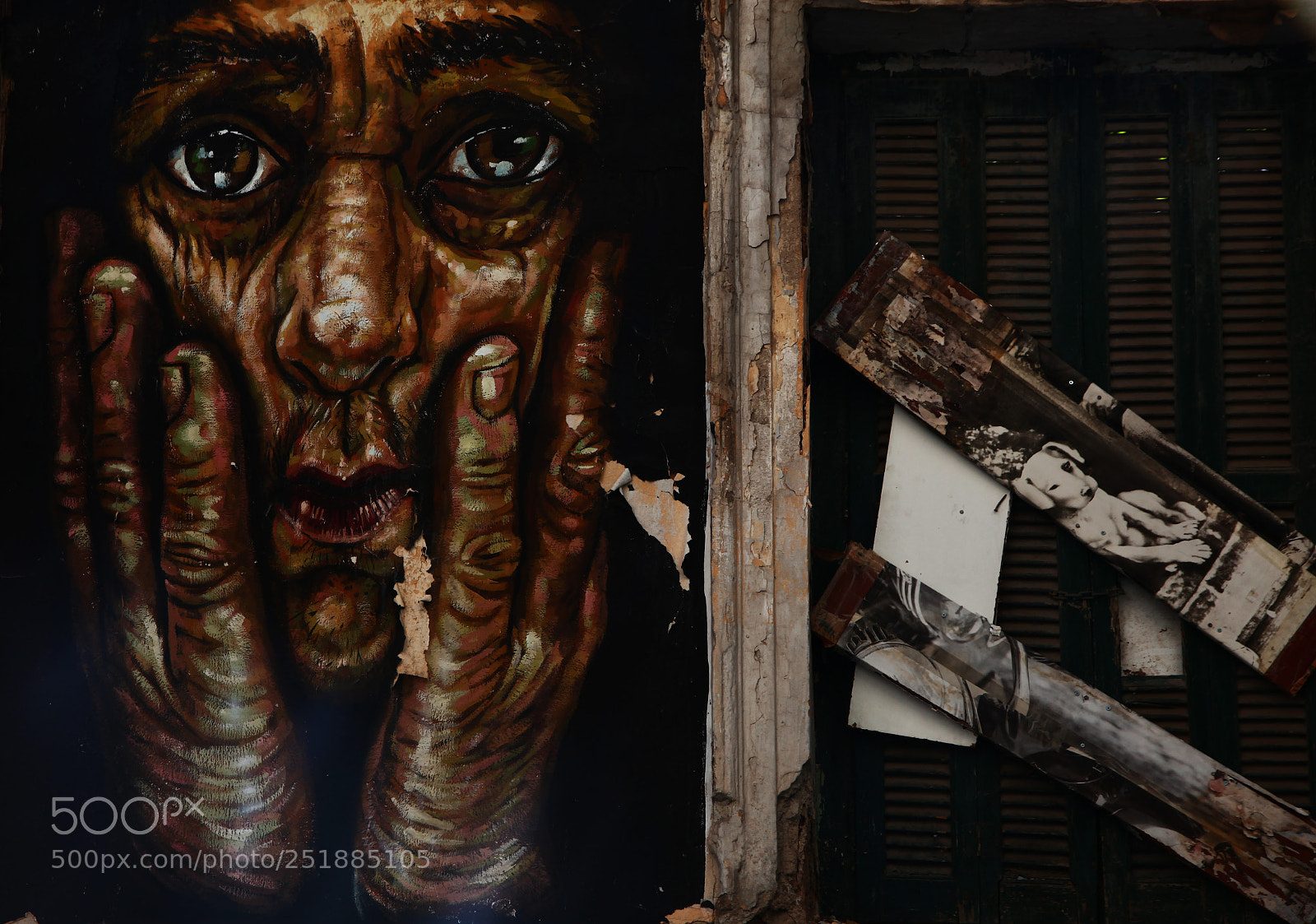 Canon EOS 5D Mark II sample photo. Untitled photography