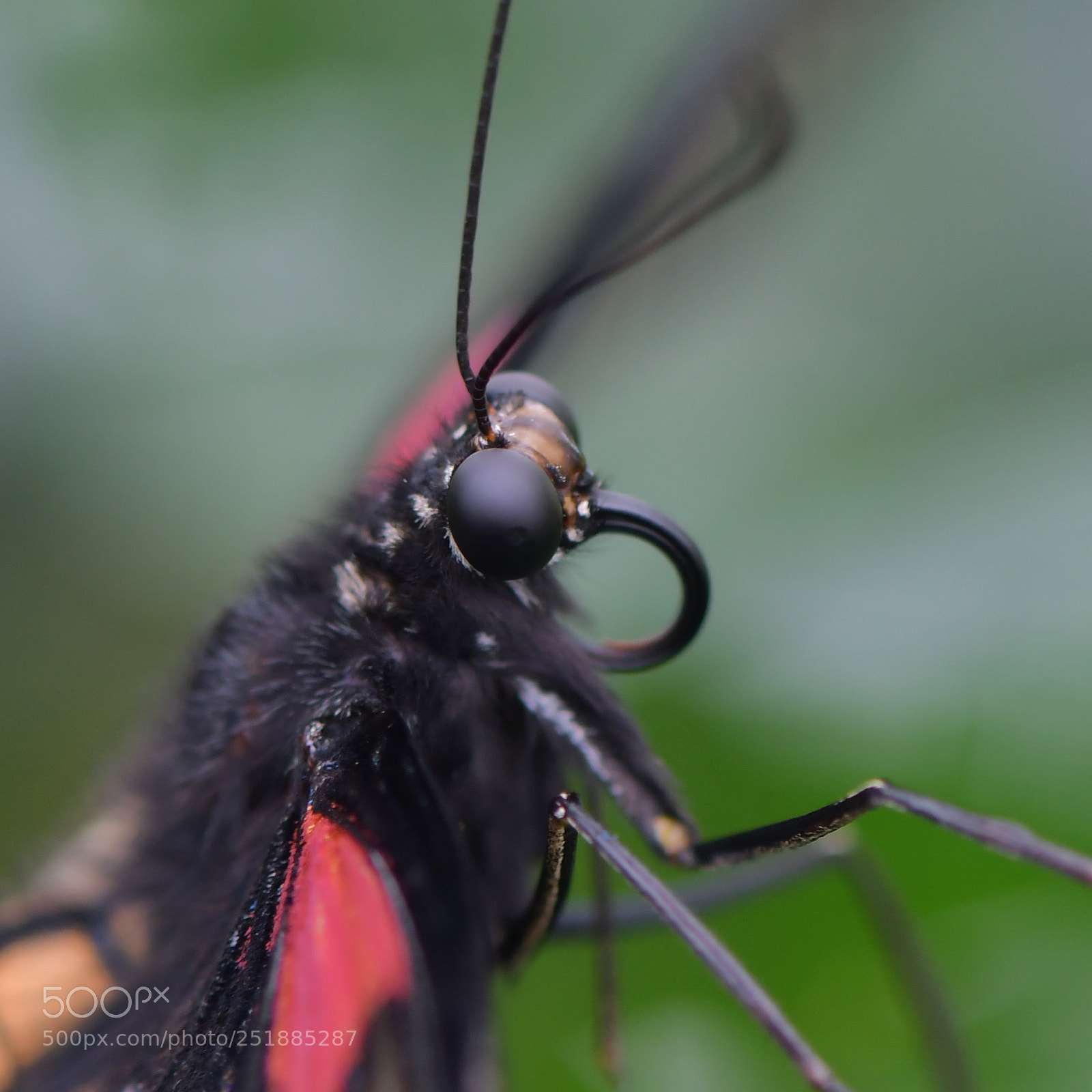Nikon D7500 sample photo. Untitled photography