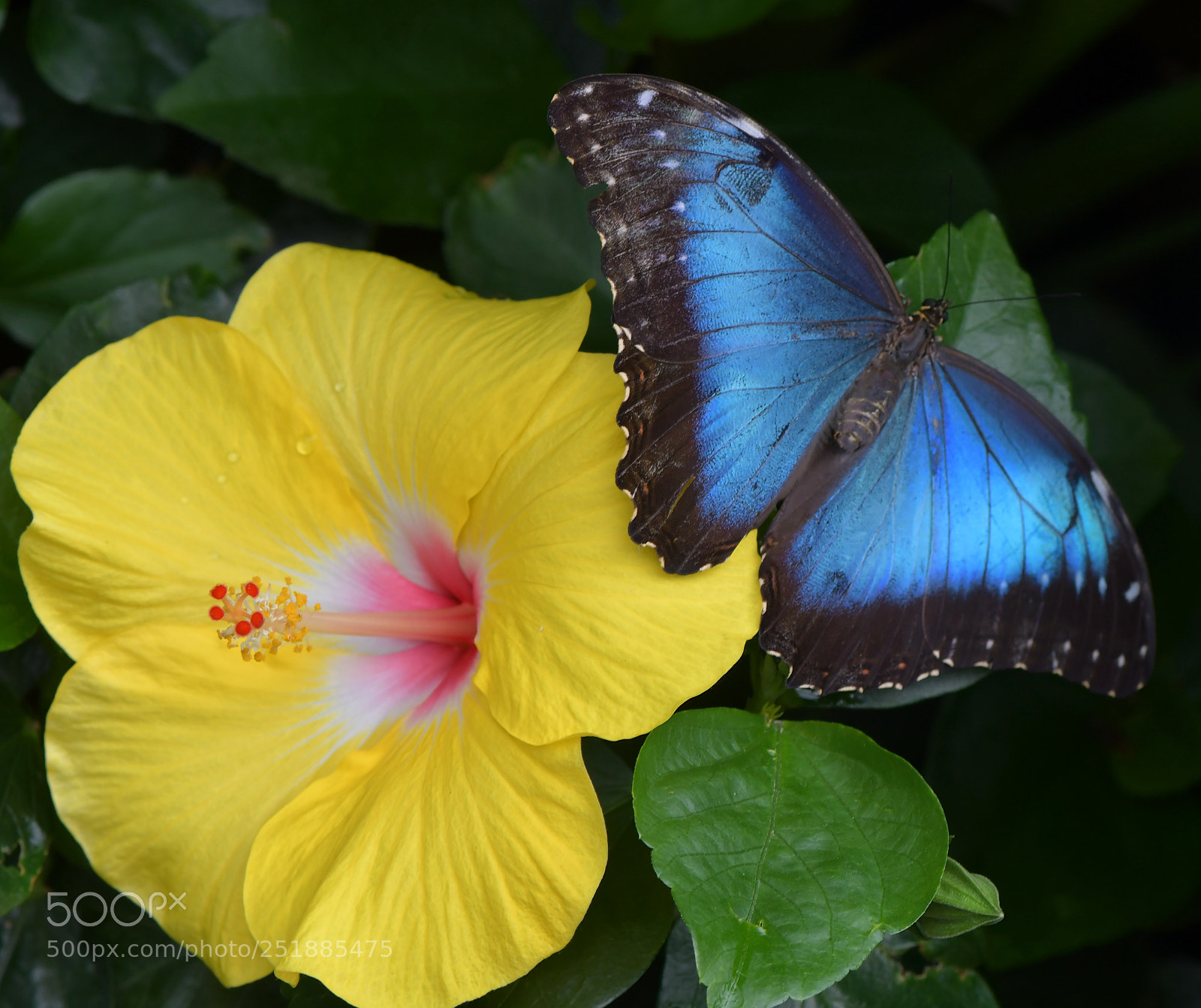 Nikon D7500 sample photo. Untitled photography