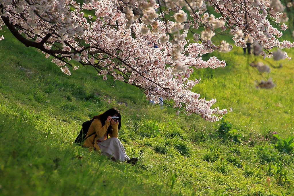 Canon EOS-1D Mark III + Tamron SP 35mm F1.8 Di VC USD sample photo. Photographer photography