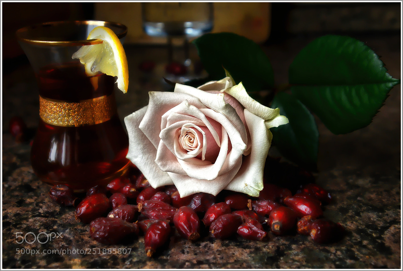 Nikon D7000 sample photo. ...... Шиповник ..... photography