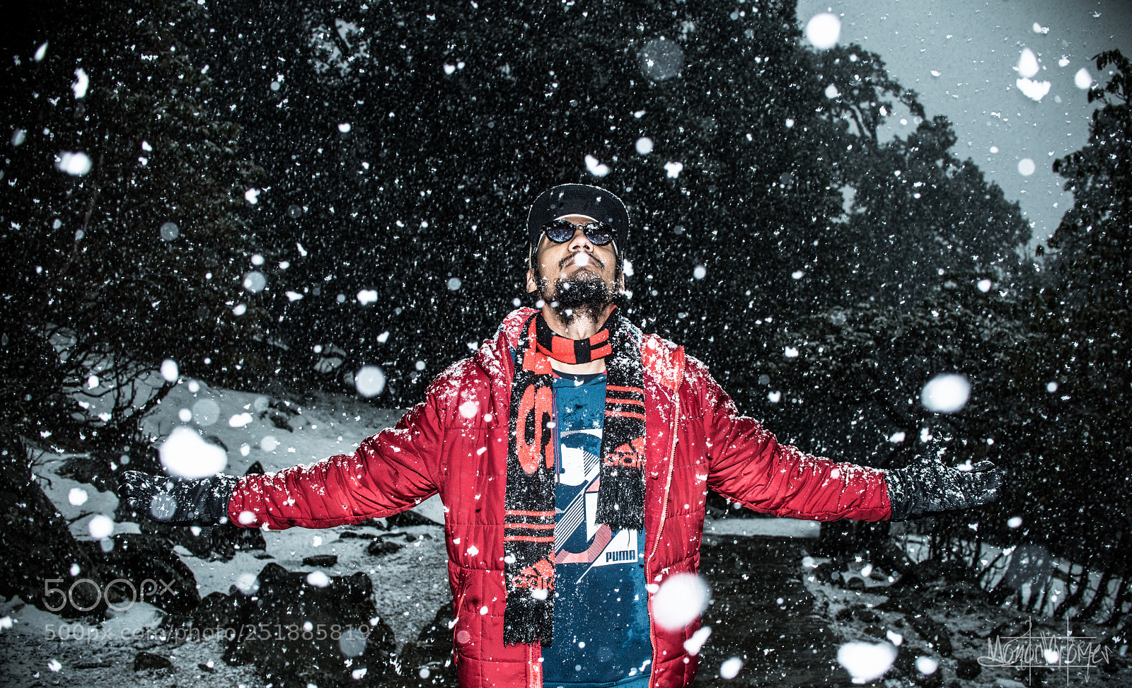 Nikon D810 sample photo. Snowfall photography