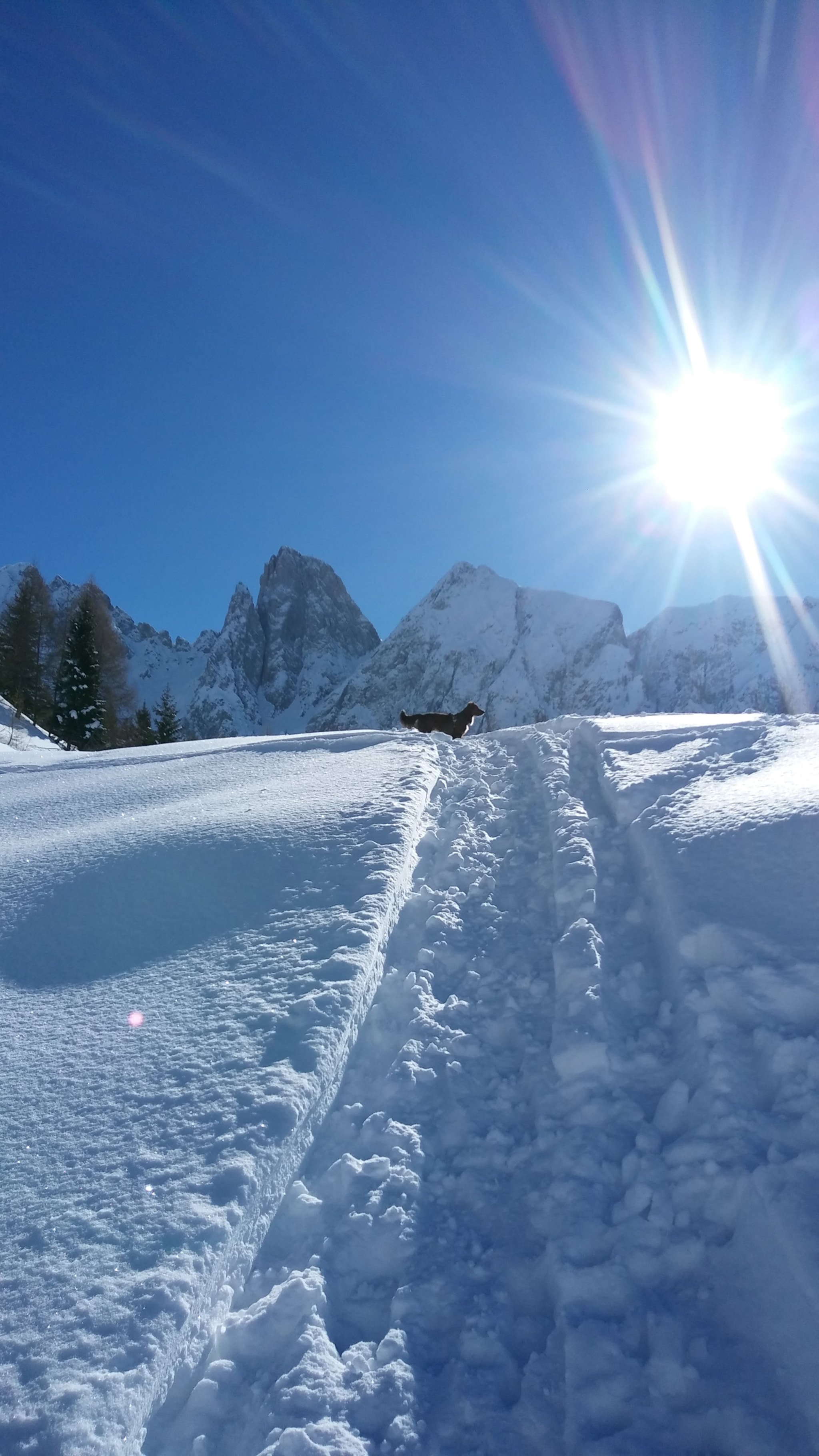 LG X SCREEN sample photo. (mountain landscape with charlie) photography