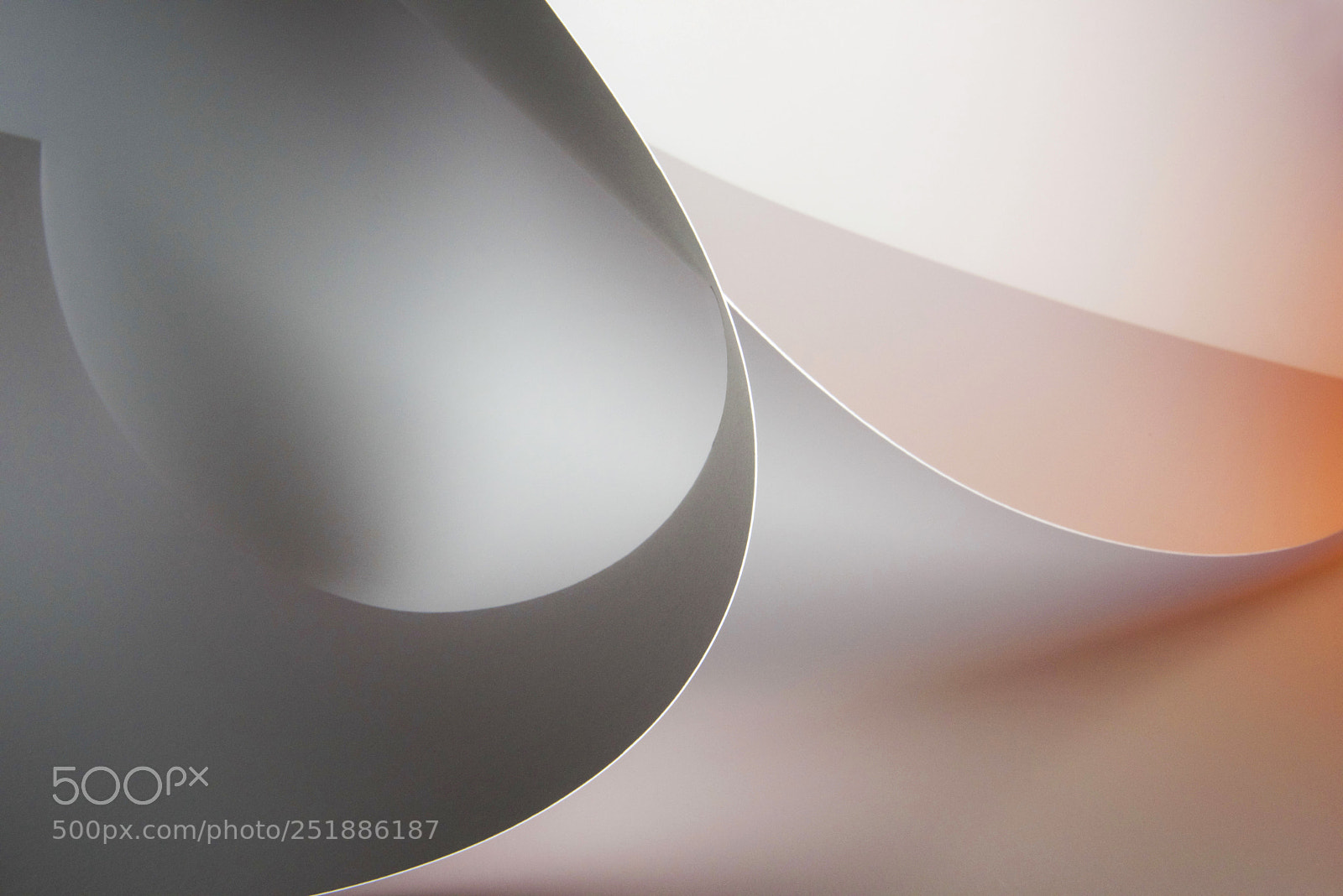 Nikon D810 sample photo. Gray is just half photography