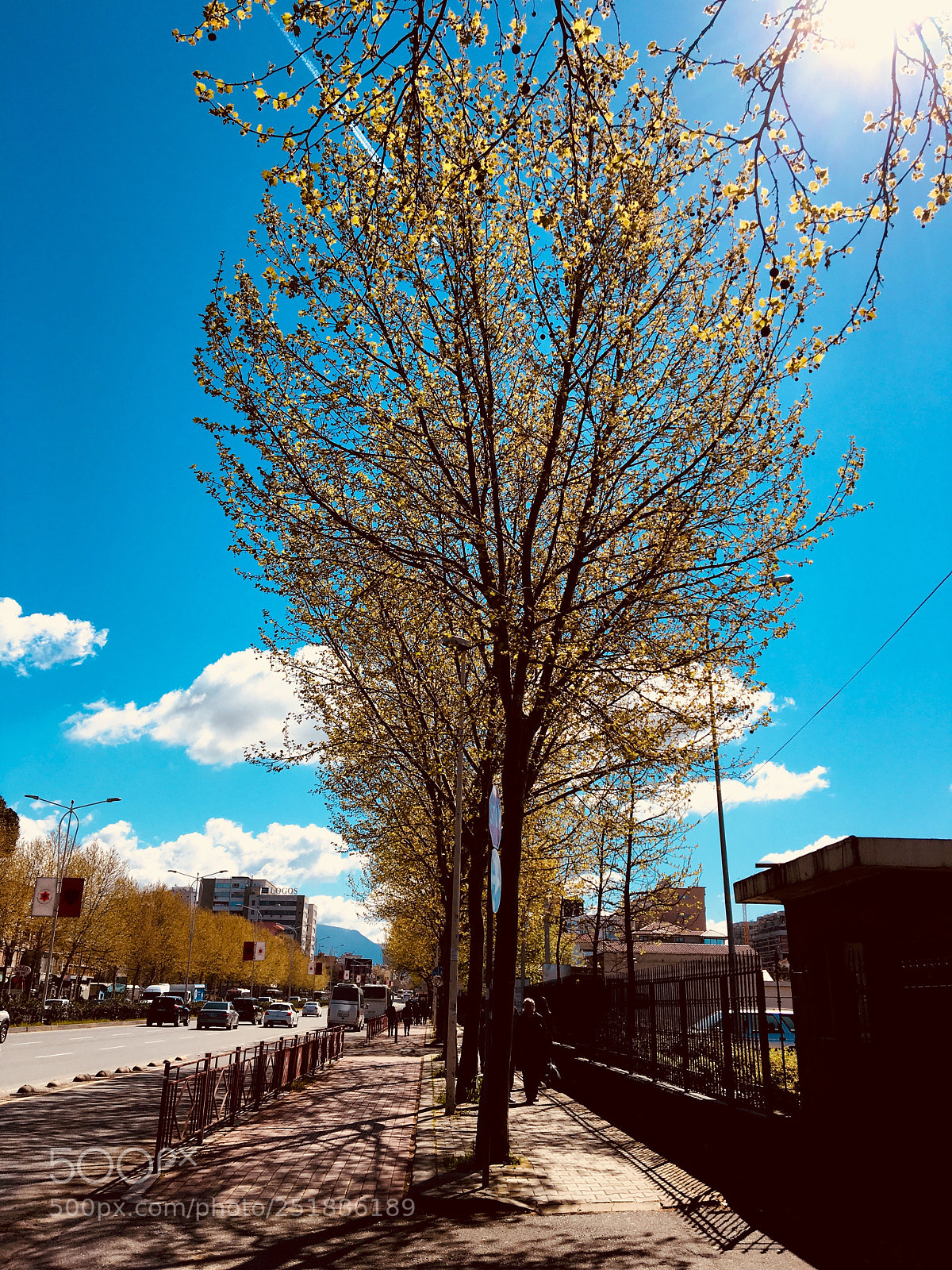 Apple iPhone 6s sample photo. #beautifulday photography