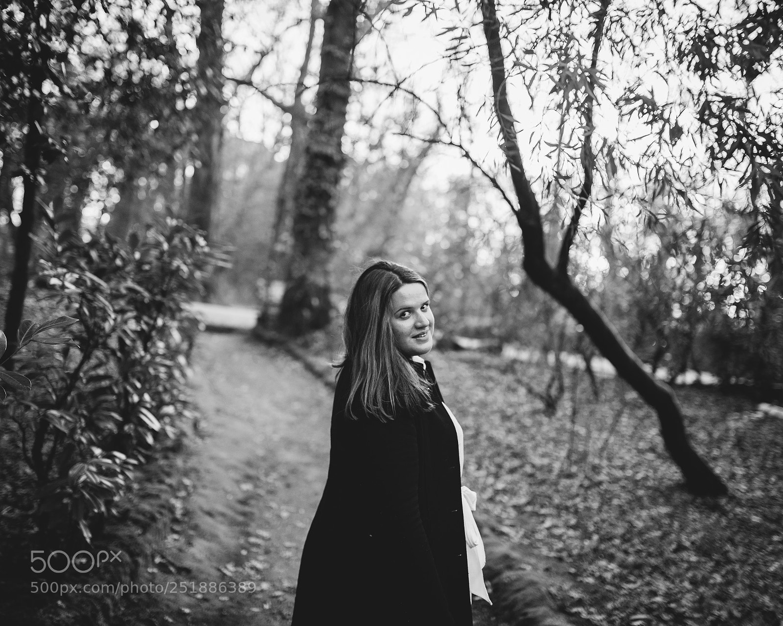 Nikon D610 sample photo. Untitled photography