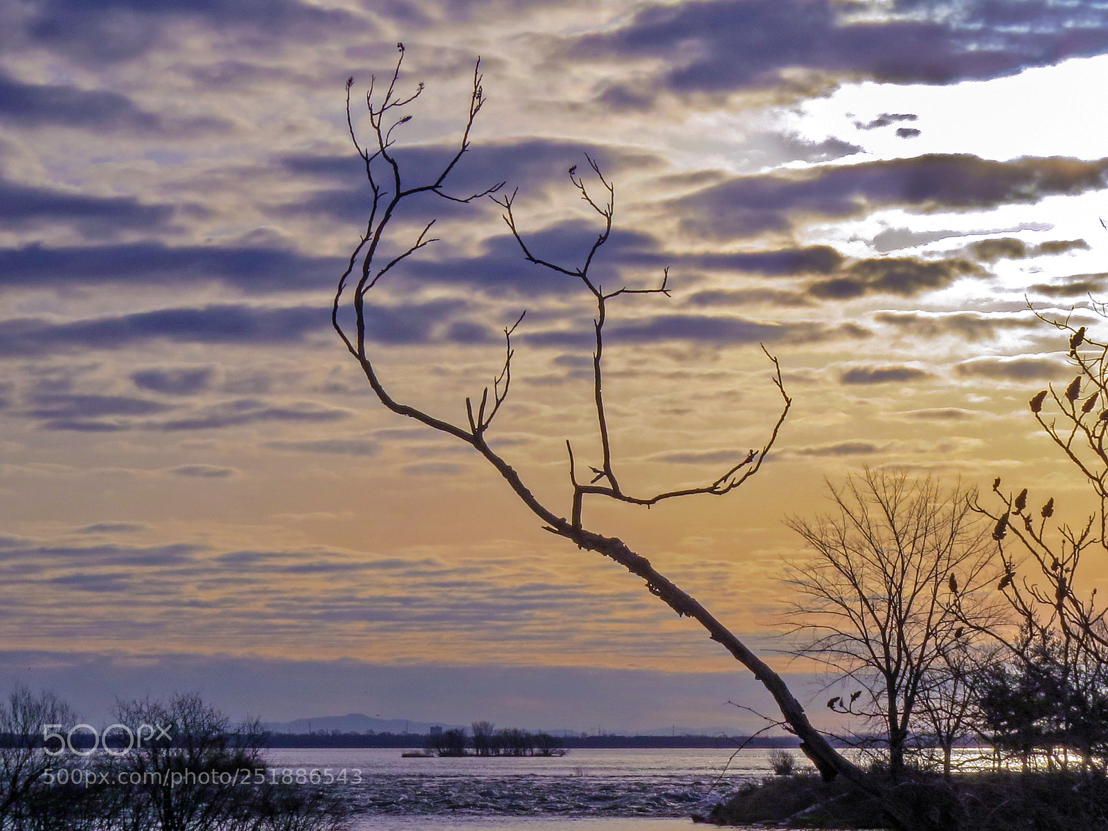 Canon PowerShot SX50 HS sample photo. End of winter morning photography