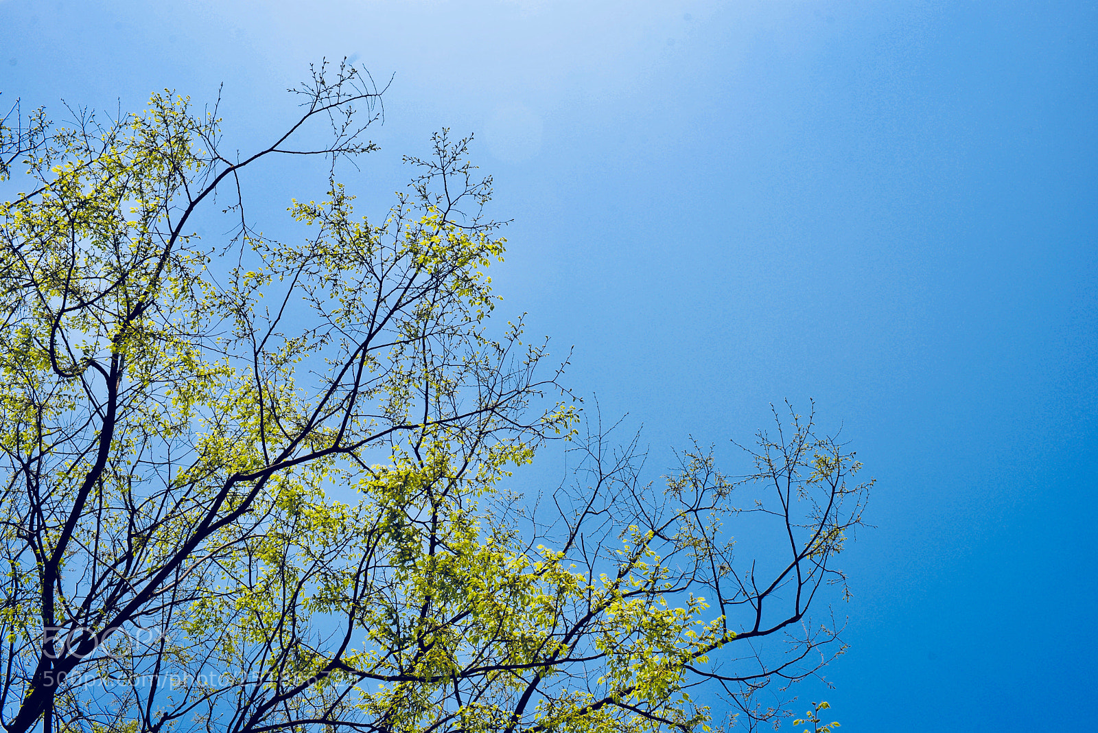 Nikon D610 sample photo. 上海无春秋 photography