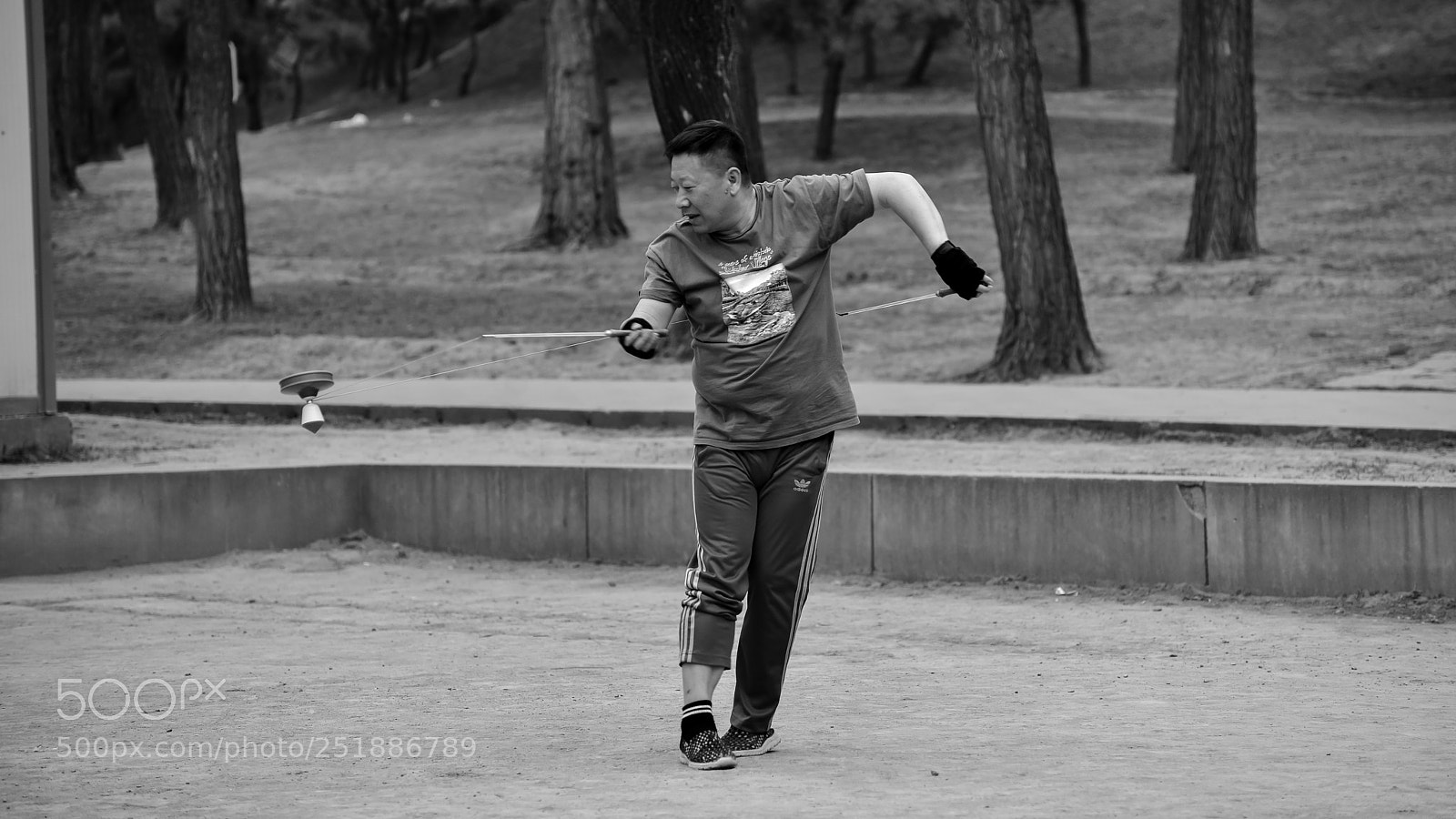 Nikon D810 sample photo. 醉拳 photography