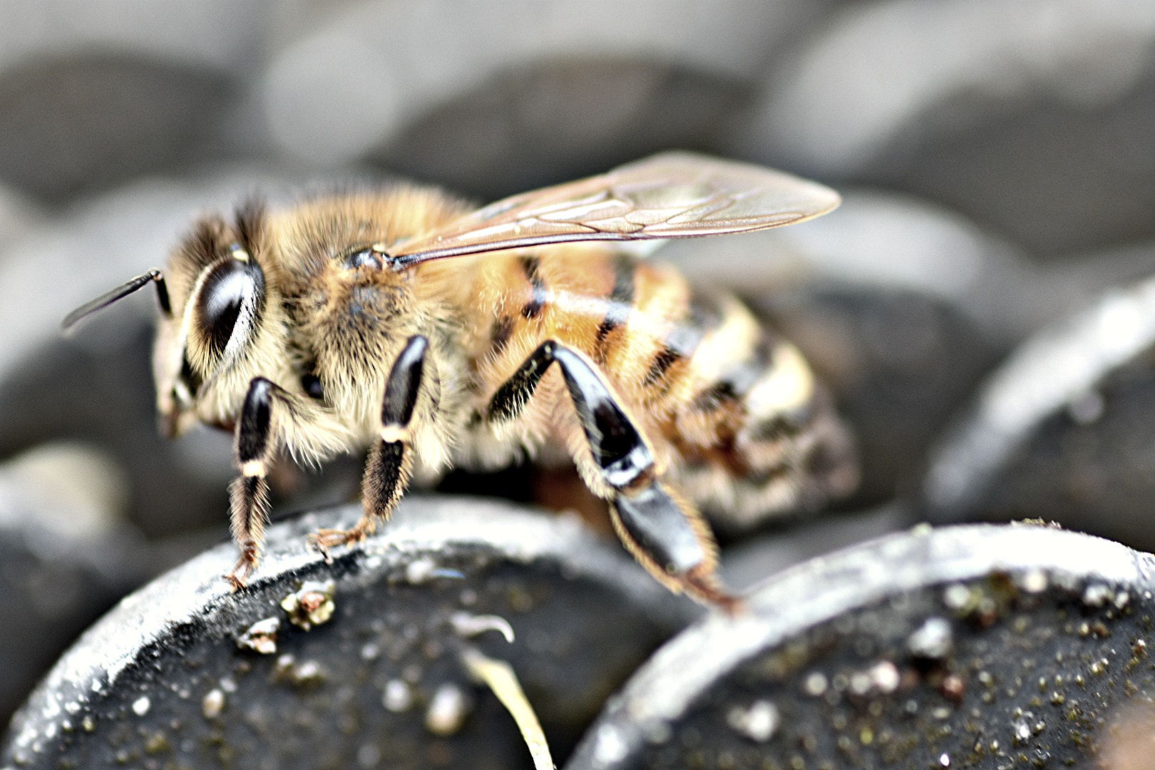 Nikon D3400 sample photo
