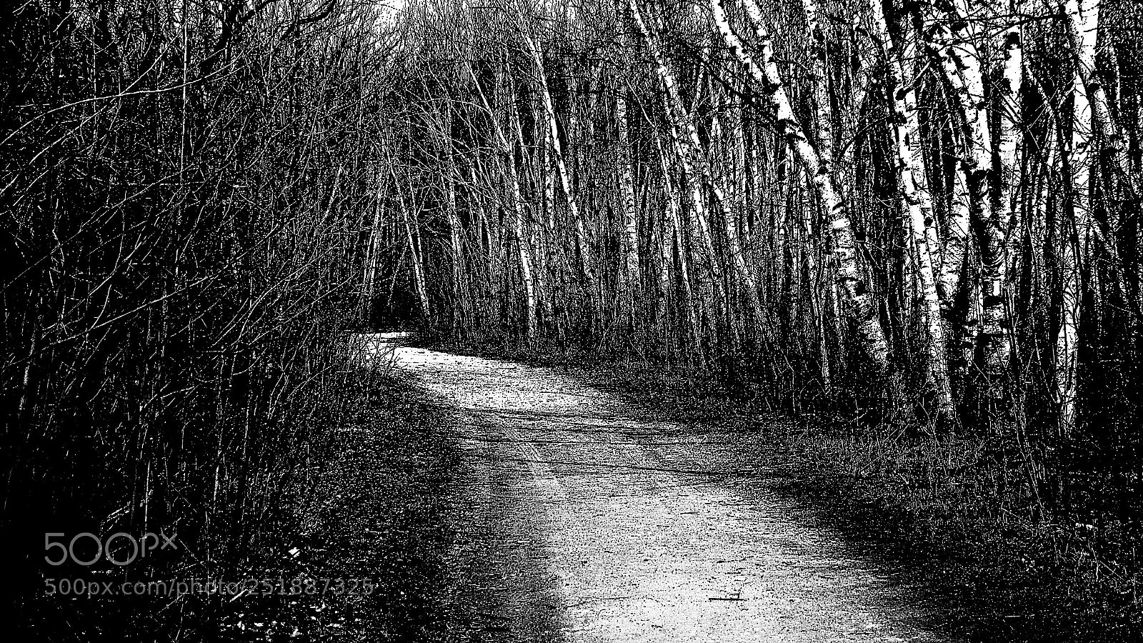 Pentax K-1 sample photo. The road to nowhere photography