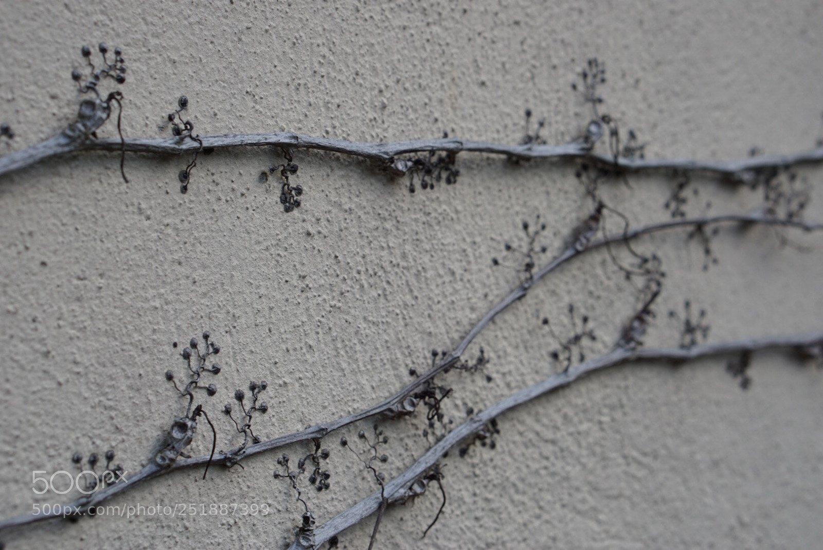 Sony a6000 sample photo. Untitled photography