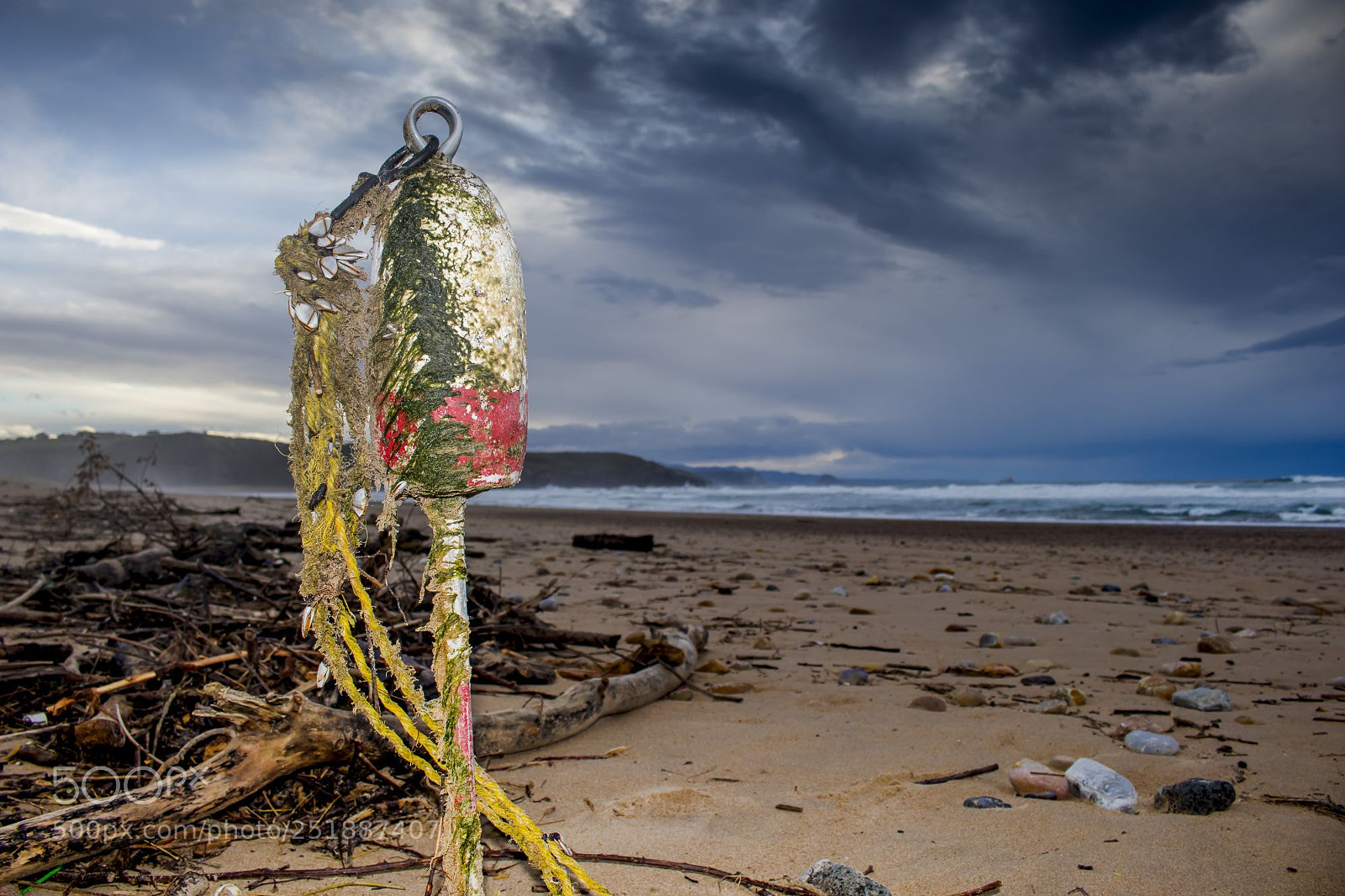 Canon EOS 80D sample photo. Beached buoy photography