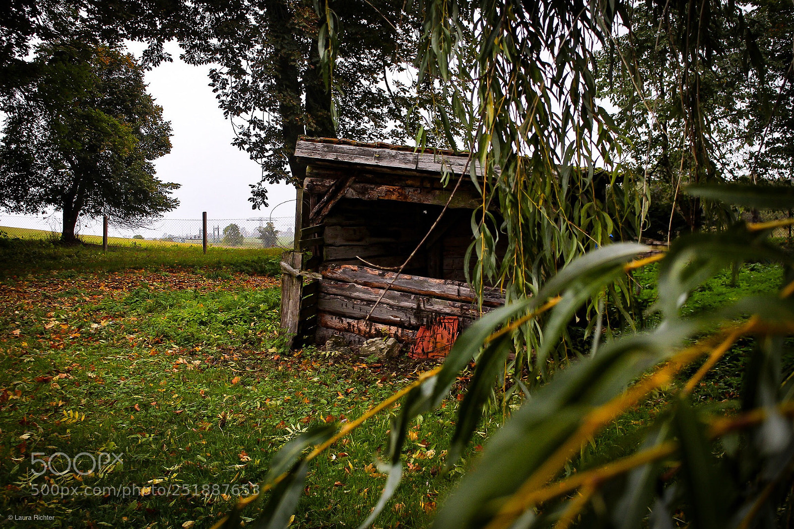 Canon EOS 700D (EOS Rebel T5i / EOS Kiss X7i) sample photo. Cottage  photography