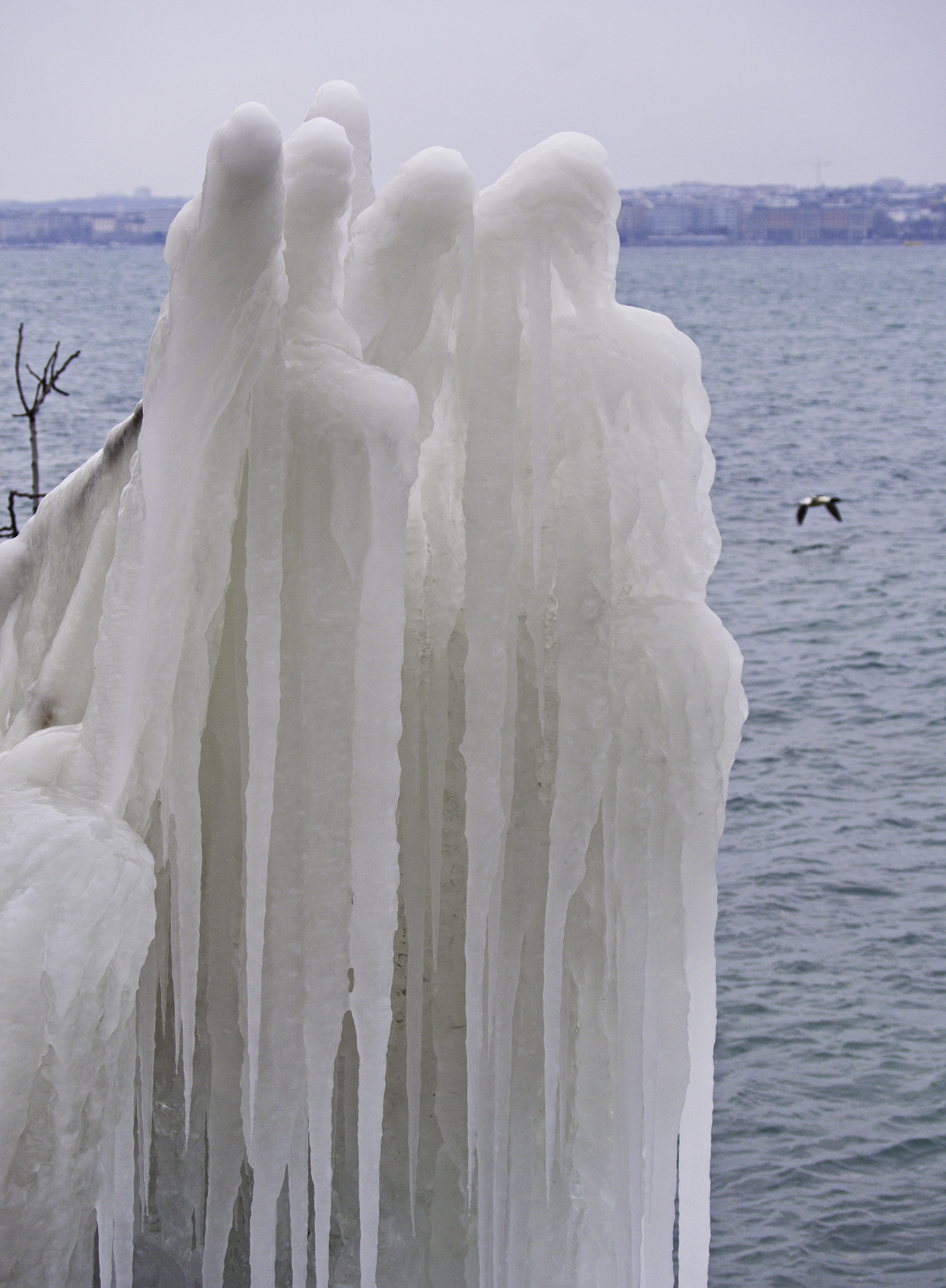 Panasonic Lumix DMC-GX8 sample photo. Ice sculptures photography