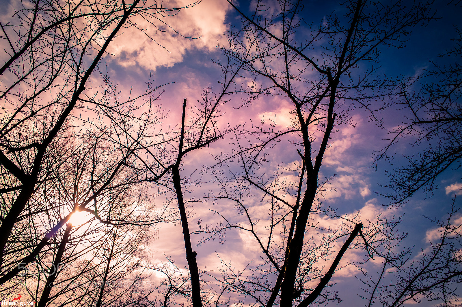 Canon EOS M3 sample photo. Untitled photography
