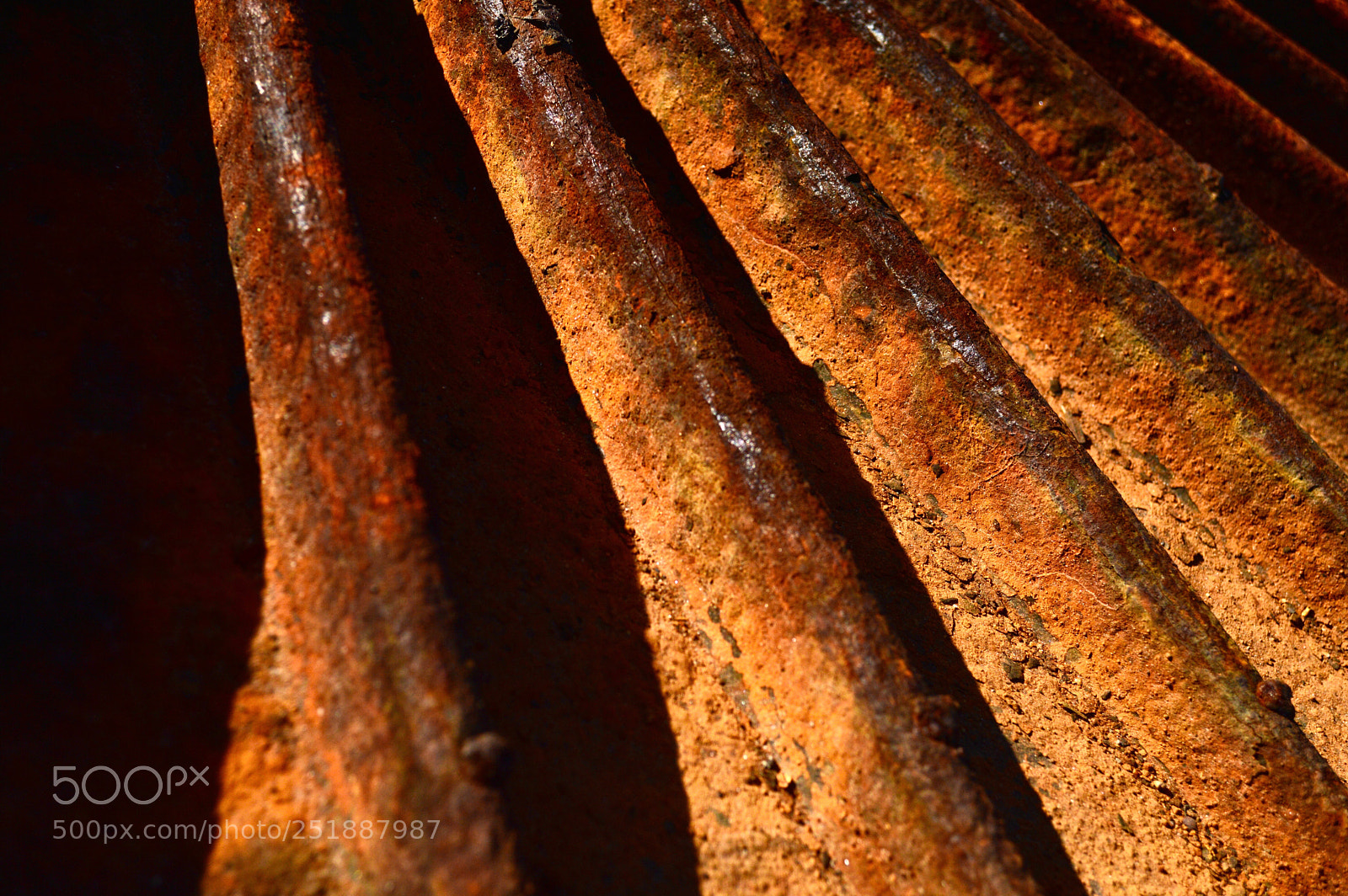 Nikon D3200 sample photo. Rust ii photography