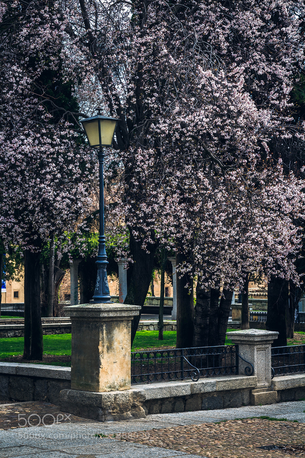 Canon EOS M sample photo. Almendro photography