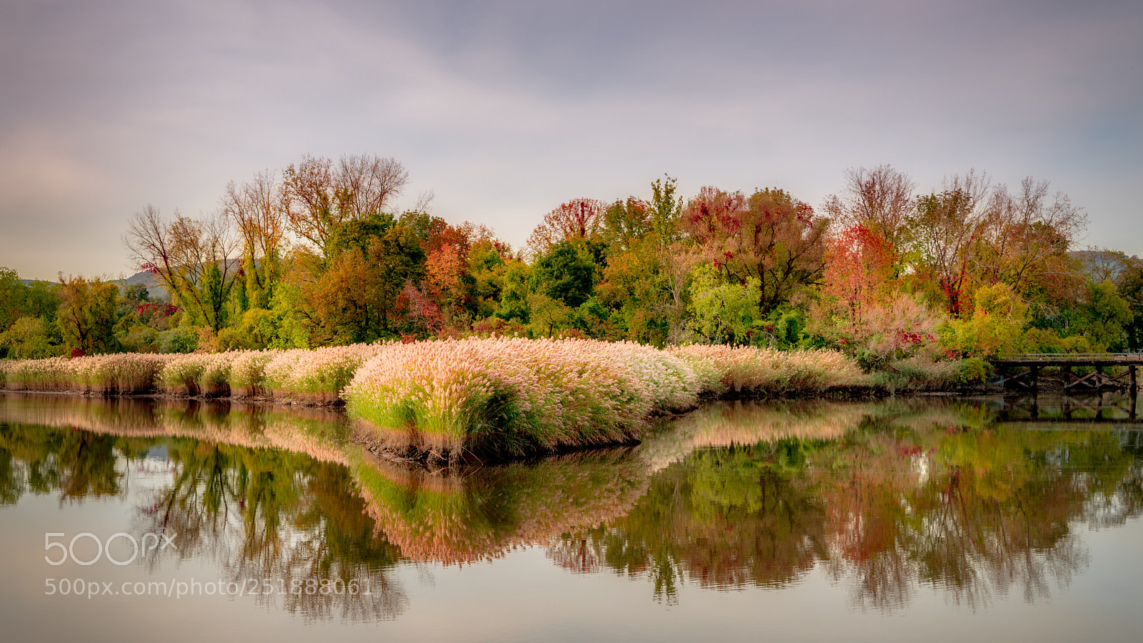 Nikon D810 sample photo. Calm waters photography